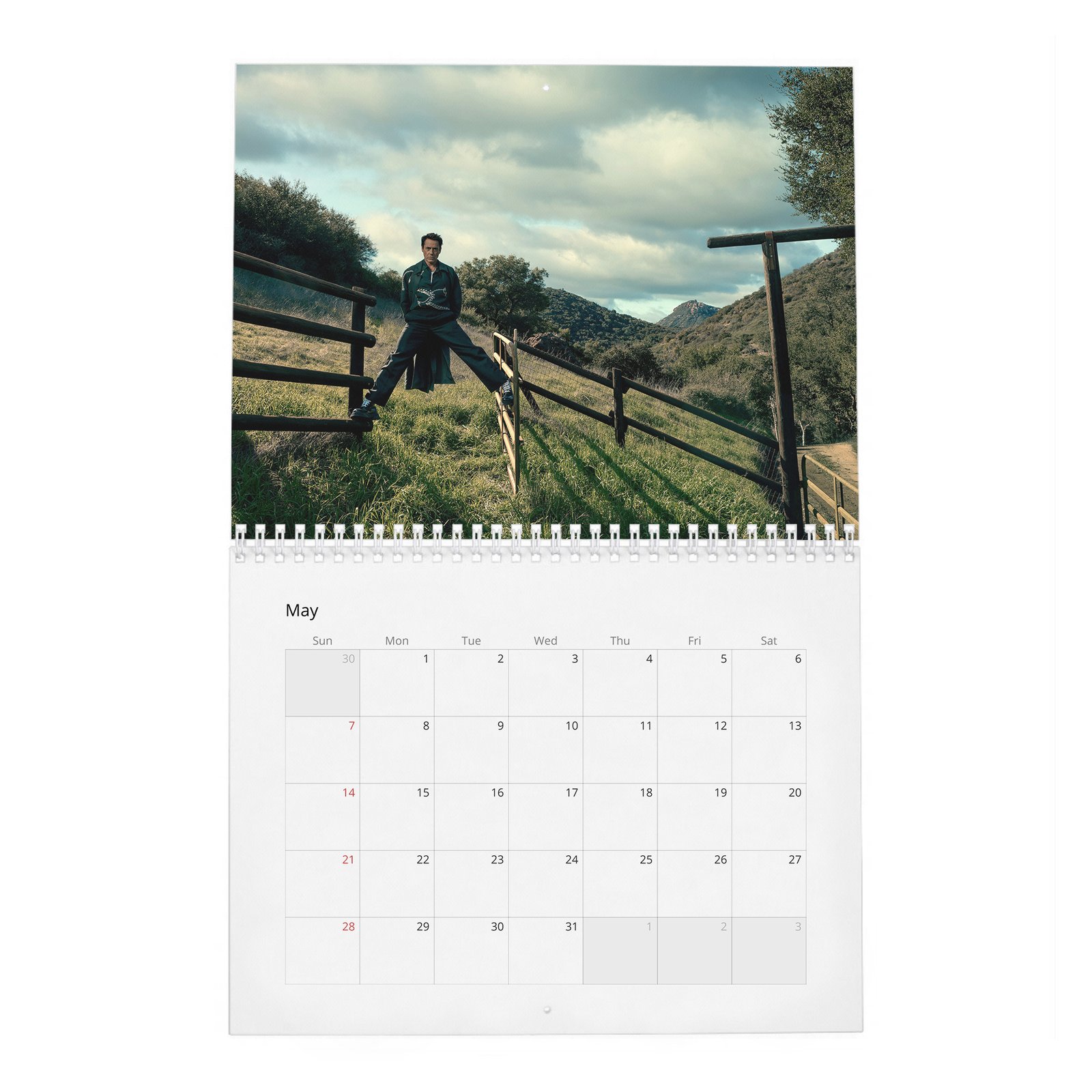 05 Robert Downey Jr. - Acts Up 2027 Wall Calendar
