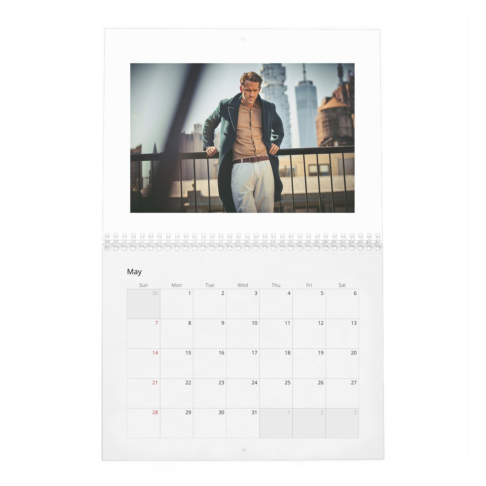 05 Ryan Reynolds - What Keeps Up At Night 2027 Wall Calendar