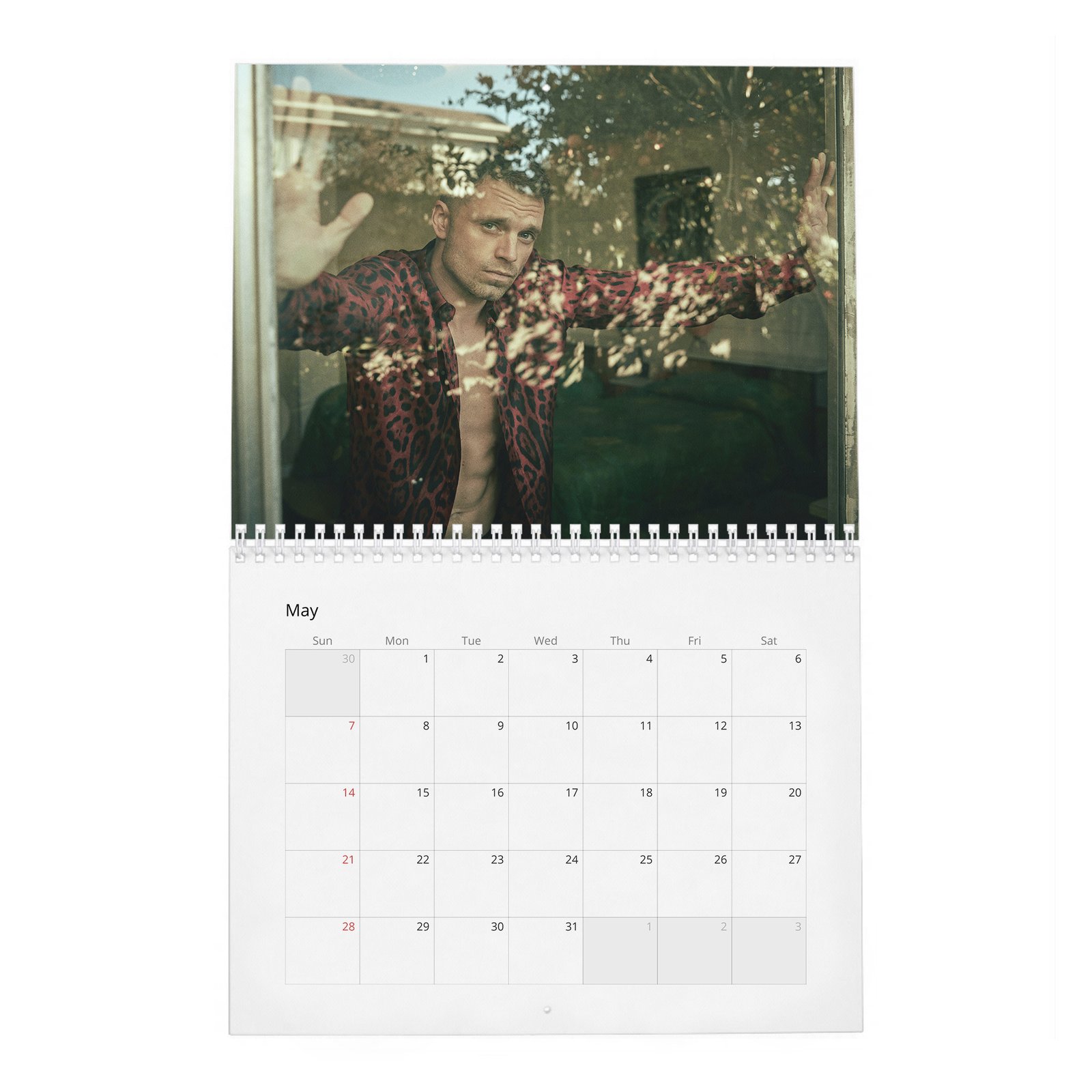 05 Sebastian Stan - Dives Deep 2027 Wall Calendar