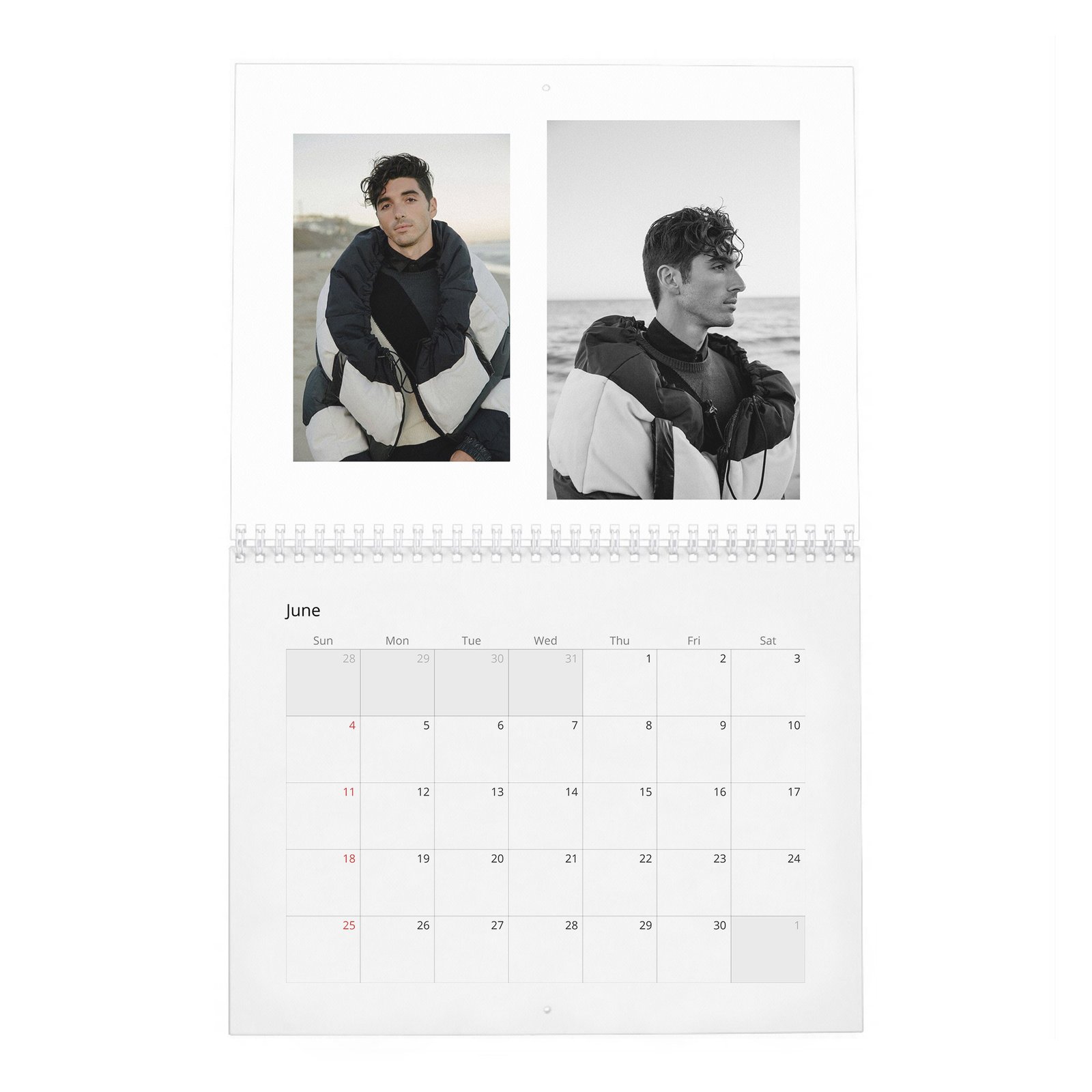 Taylor Zakhar Perez - Content 2027 Wall Calendar
