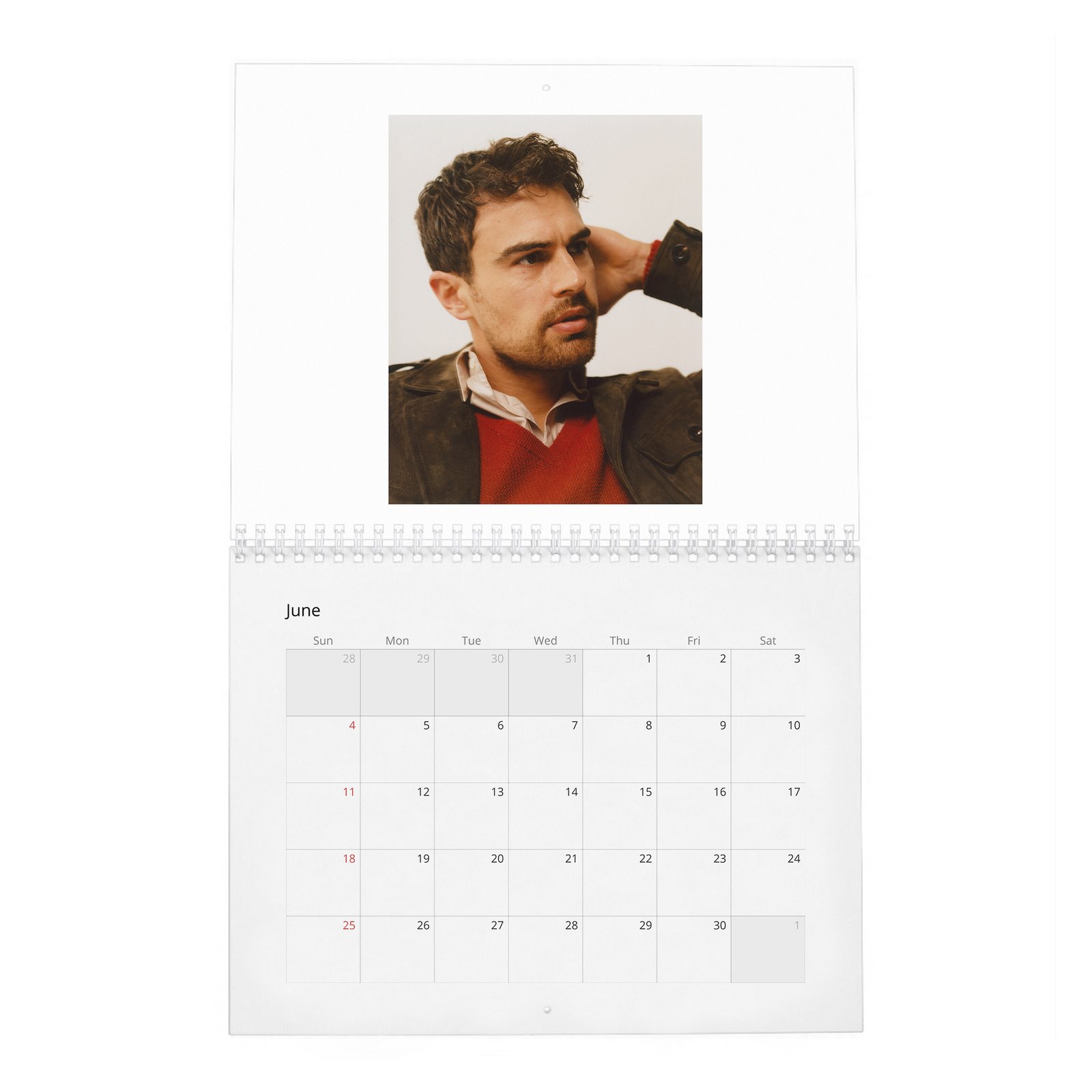 06 Theo James - Objectification And Being A Heart-Throb 2027 Wall Calendar