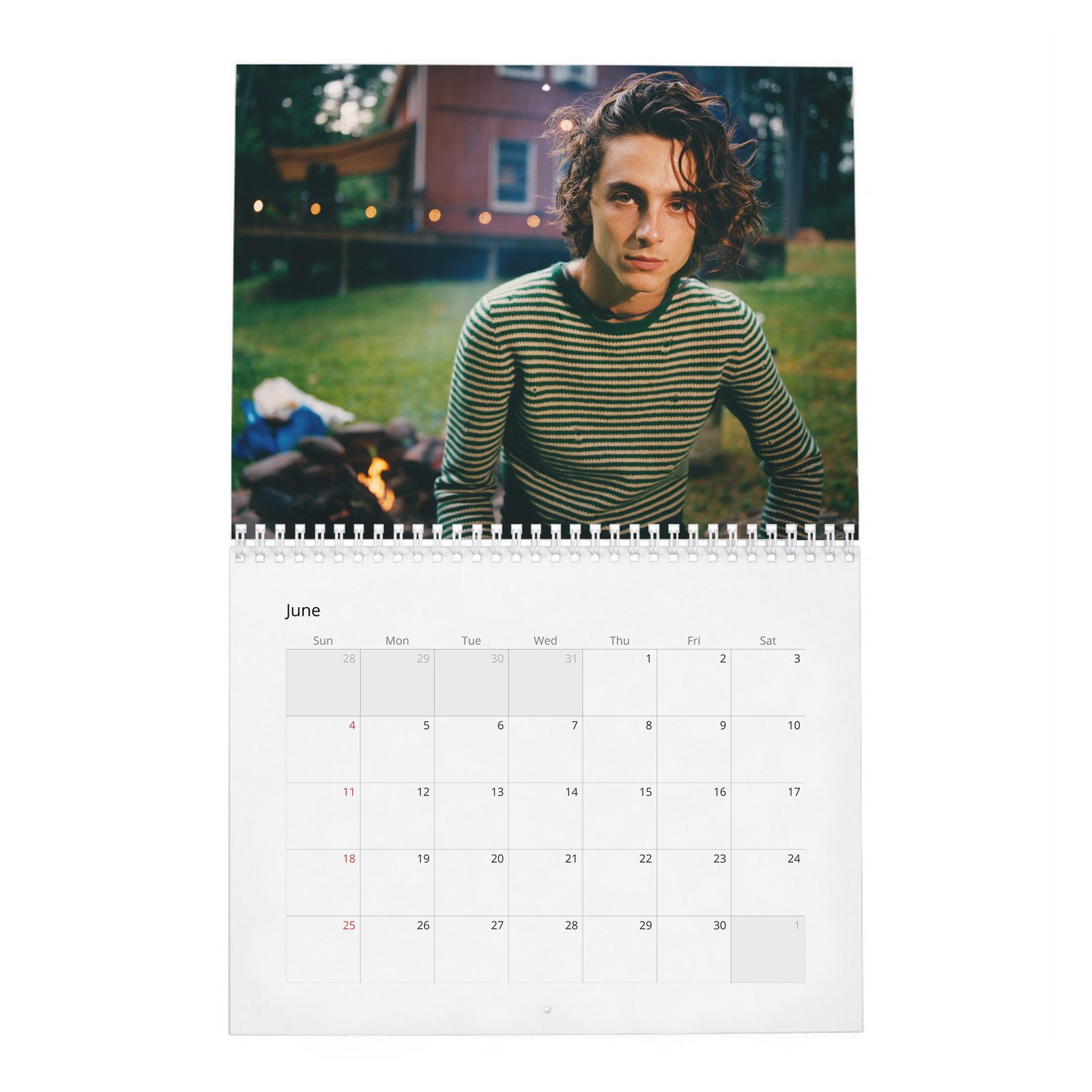 06 Timothée Chalamet - Hiding Out In Woodstock With 2027 Wall Calendar