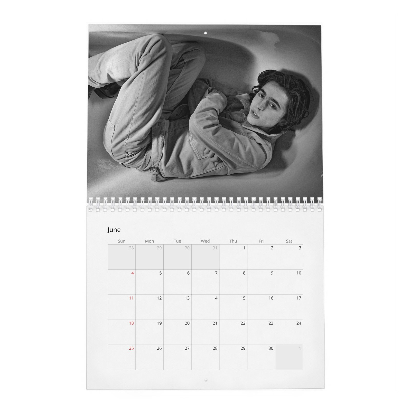 Timothée Chalamet - The Arrival Of 2027 Wall Calendar