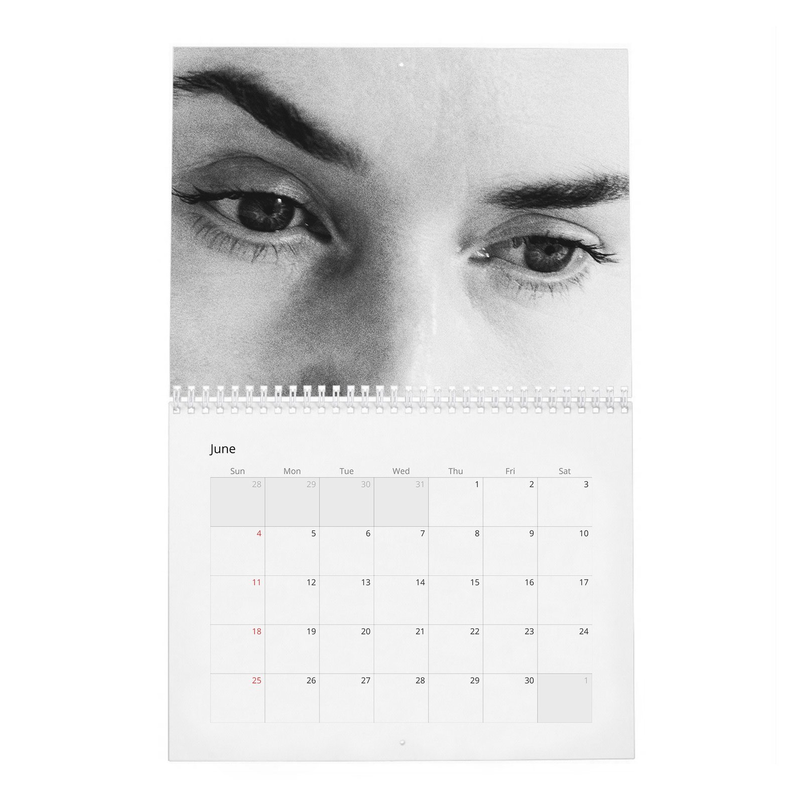 Kate Winslet - Star Power 2027 Wall Calendar