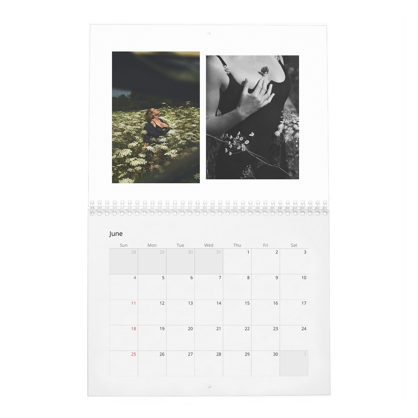 06 Kate Winslet - Truth Be Told 2027 Wall Calendar