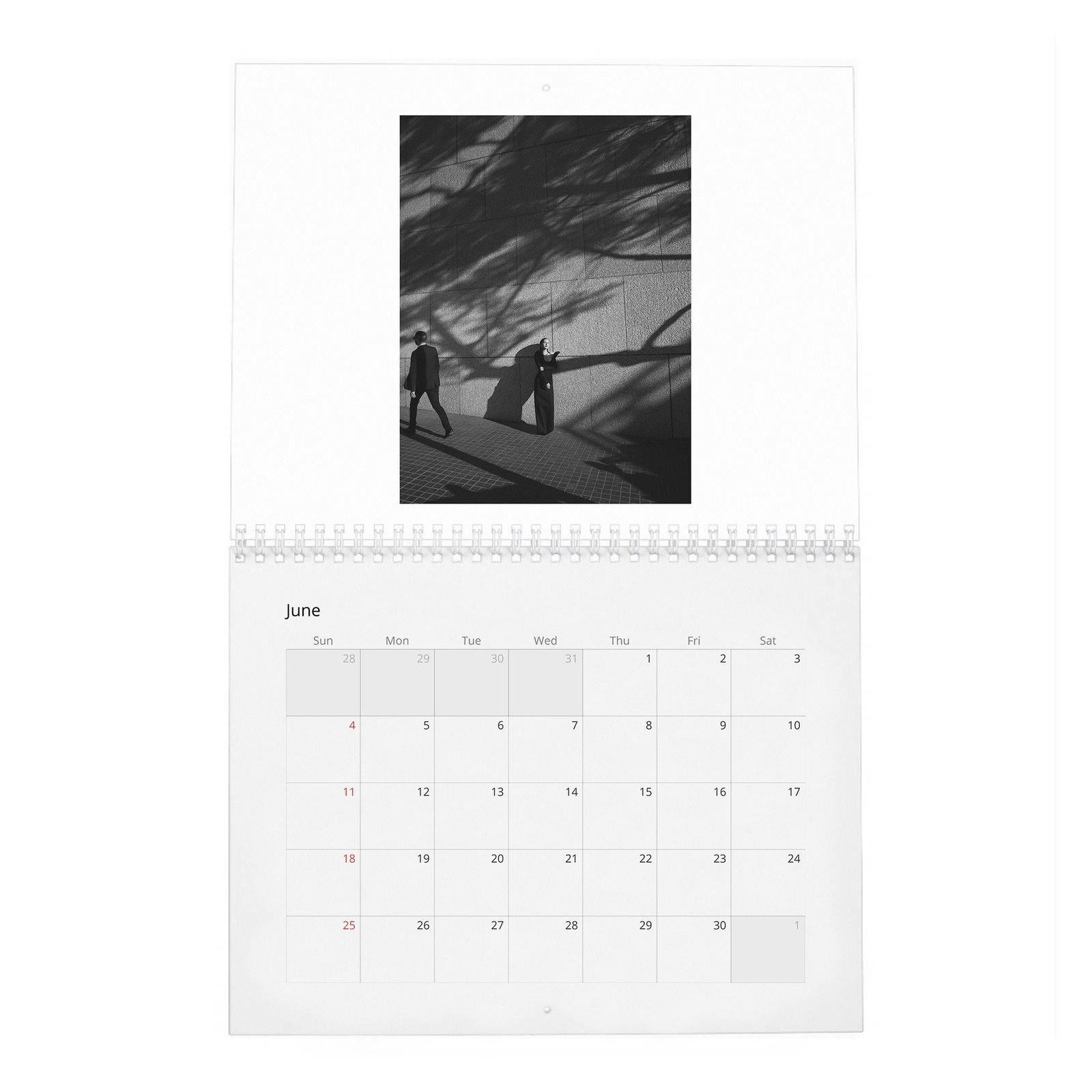 06 Leighton Meester - The Next Episode 2027 Wall Calendar