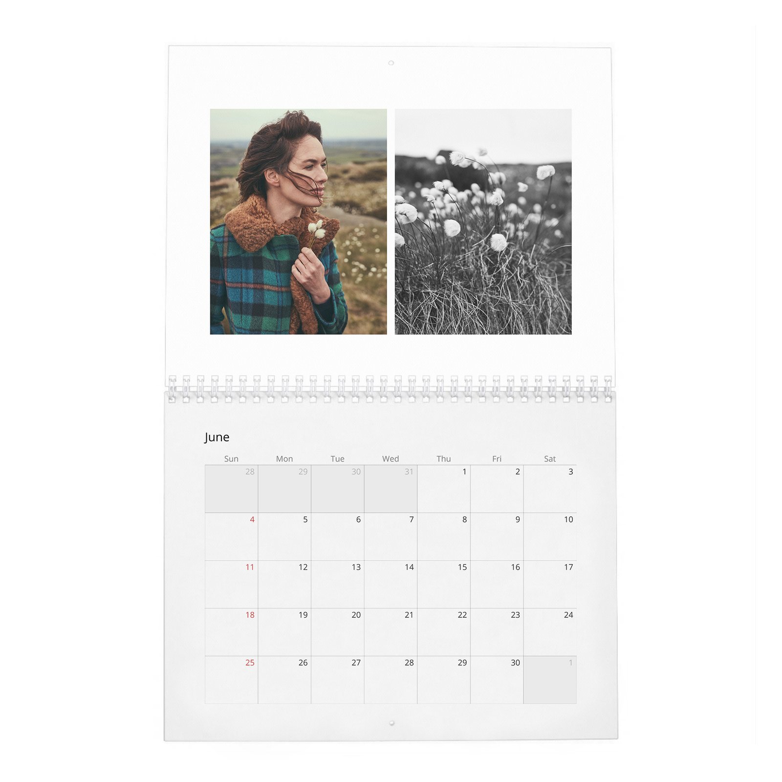 06 Lena Headey - Last Woman Stnading 2027 Wall Calendar