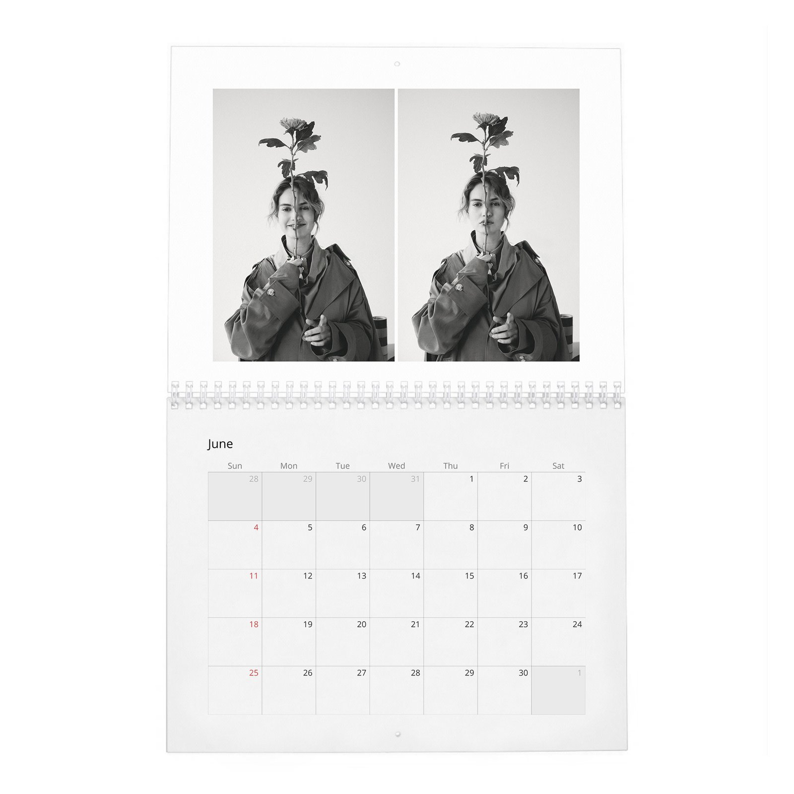 06 Lily James - Loving Lily 2027 Wall Calendar