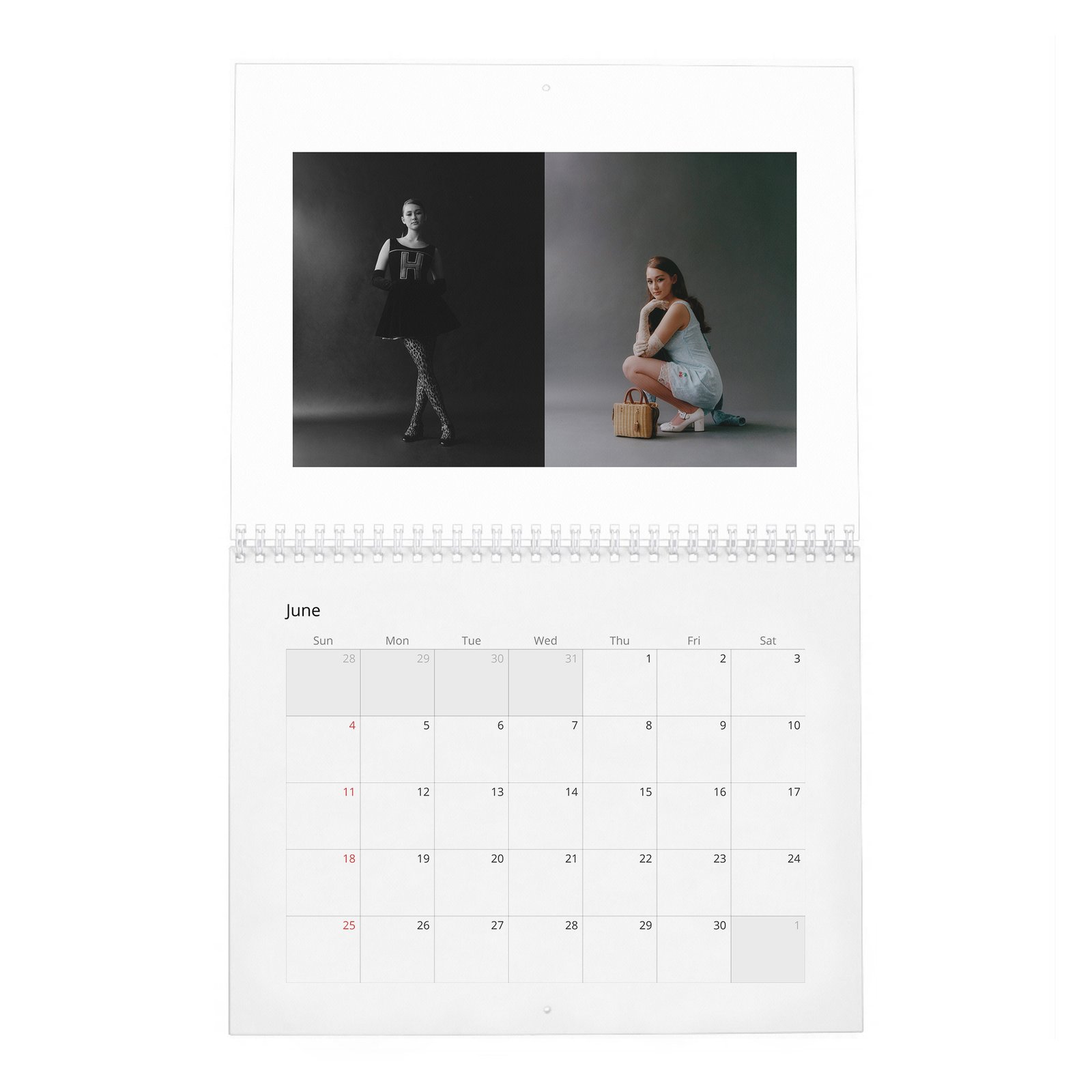 06 Lola Tung - Laterals 2027 Wall Calendar