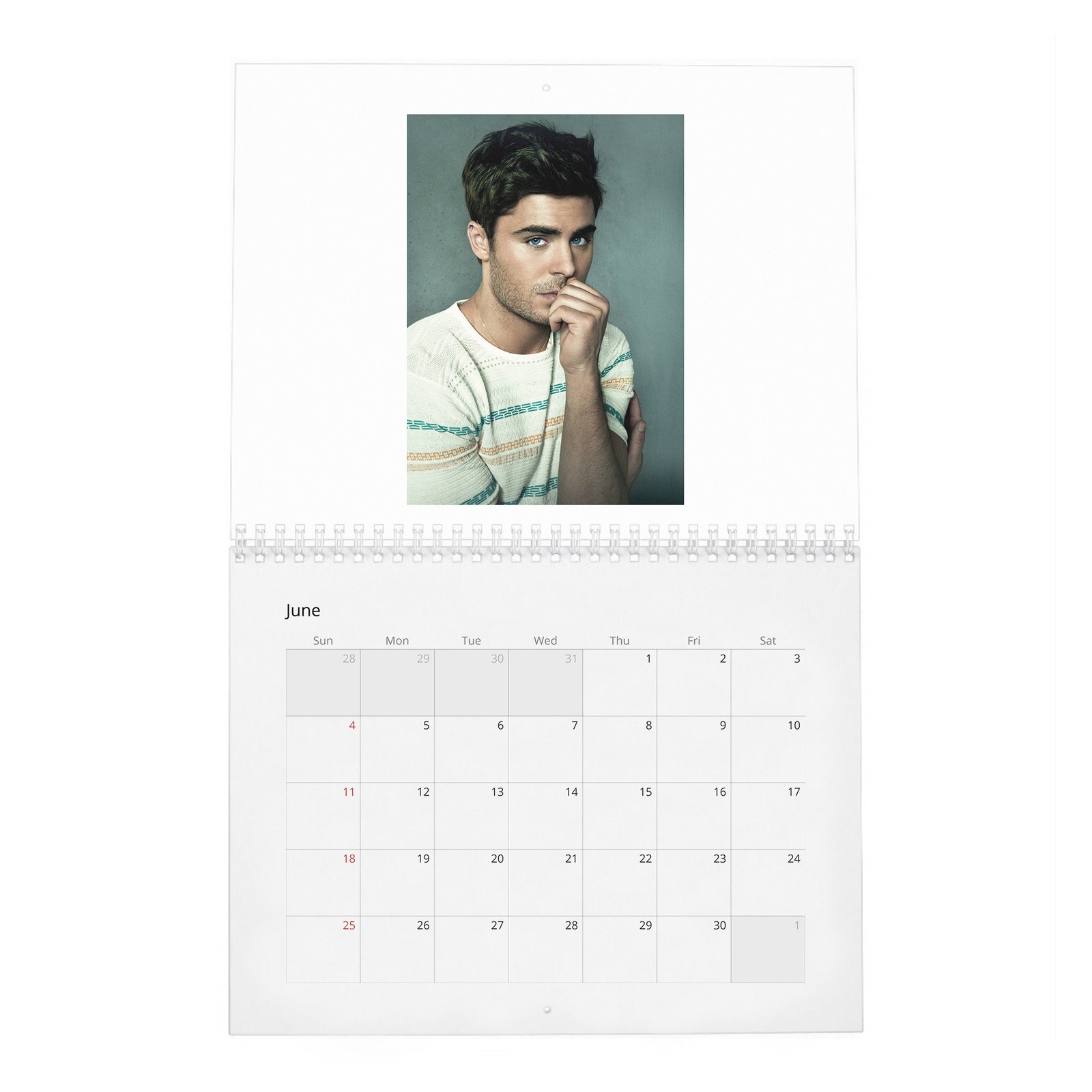 06 Zac Efron - Flaunt 2027 Wall Calendar