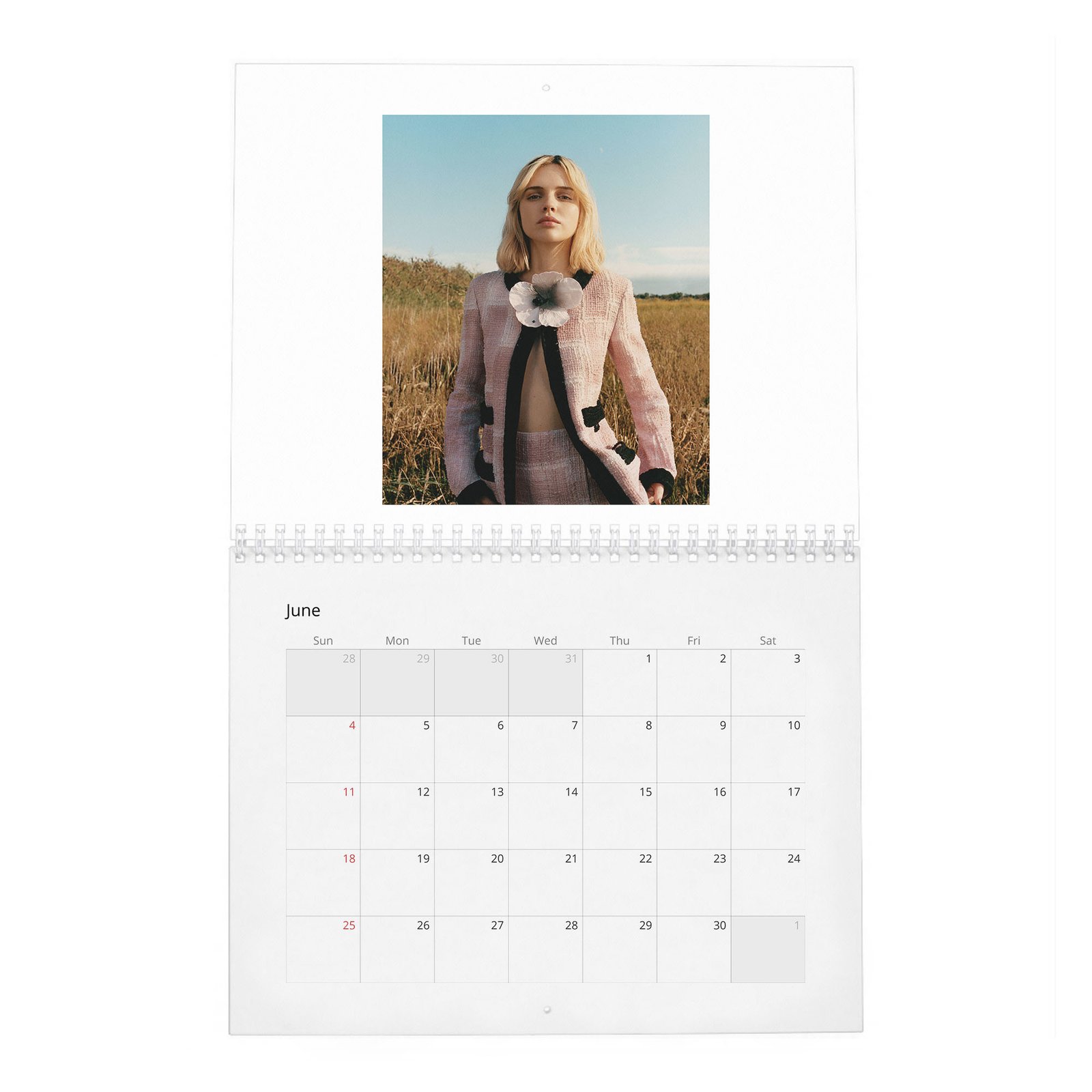 Odessa Young - The Quiet Heroine 2027 Wall Calendar