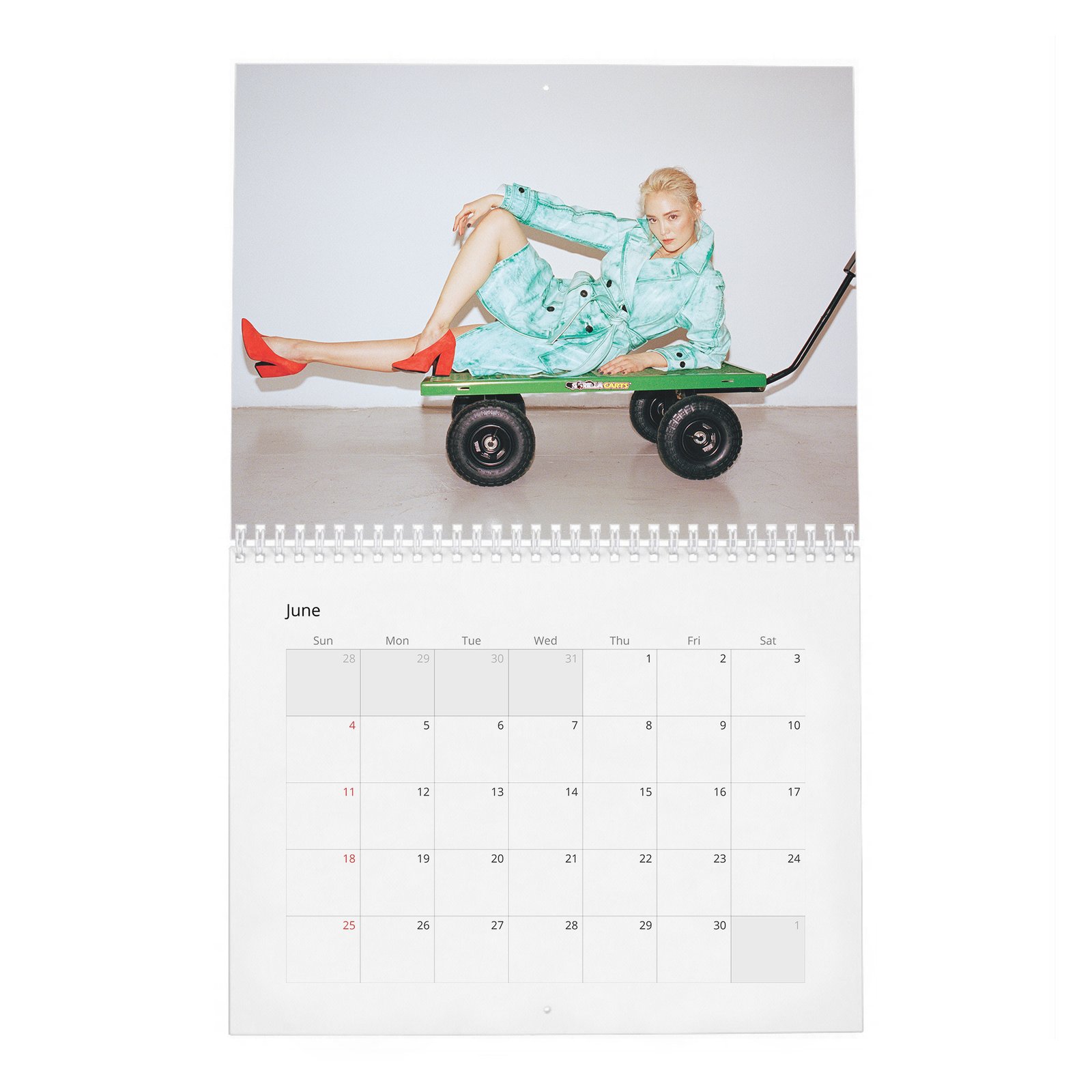 06 Pom Klementieff - Laterals 2027 Wall Calendar