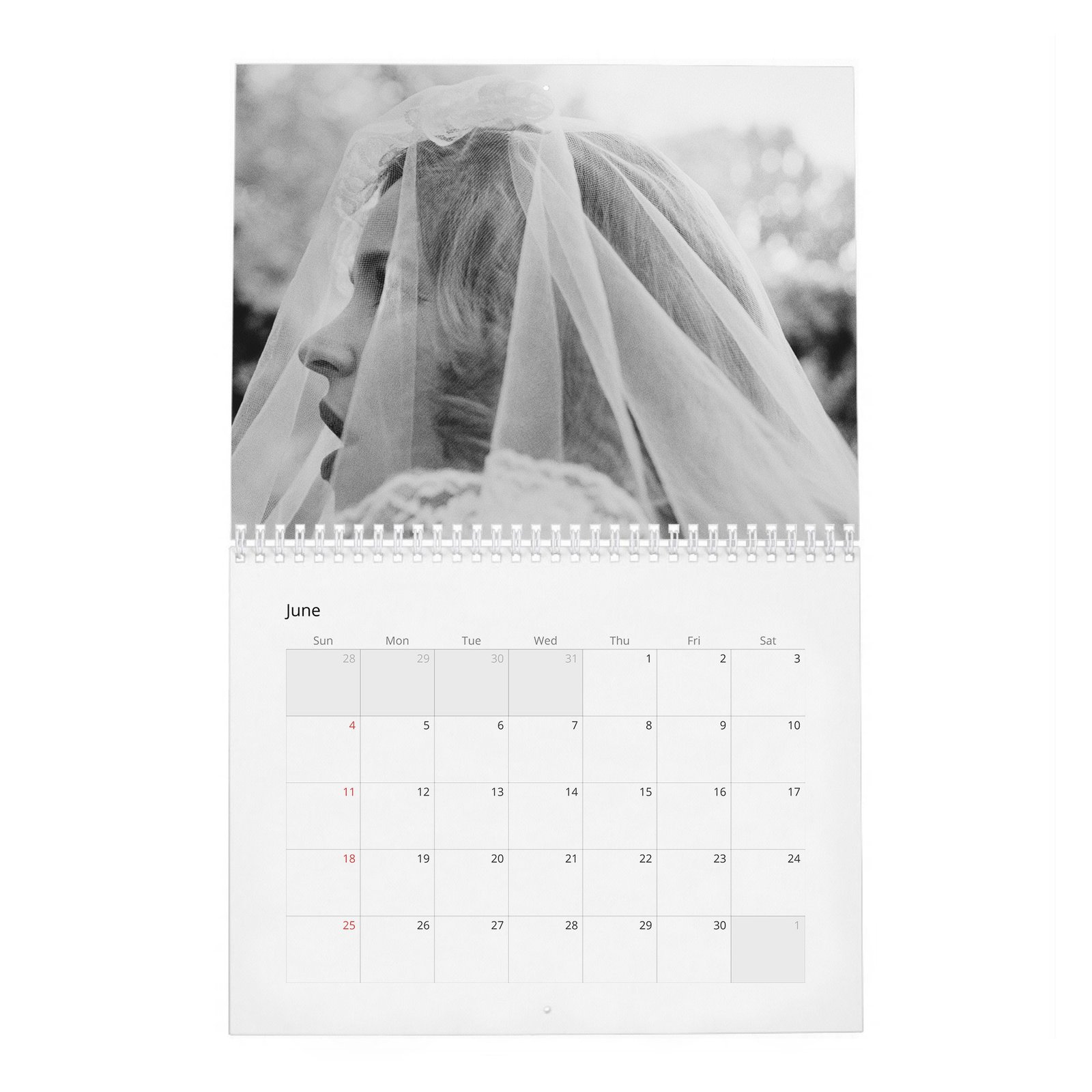 Rachel McAdams - Violet 2027 Wall Calendar