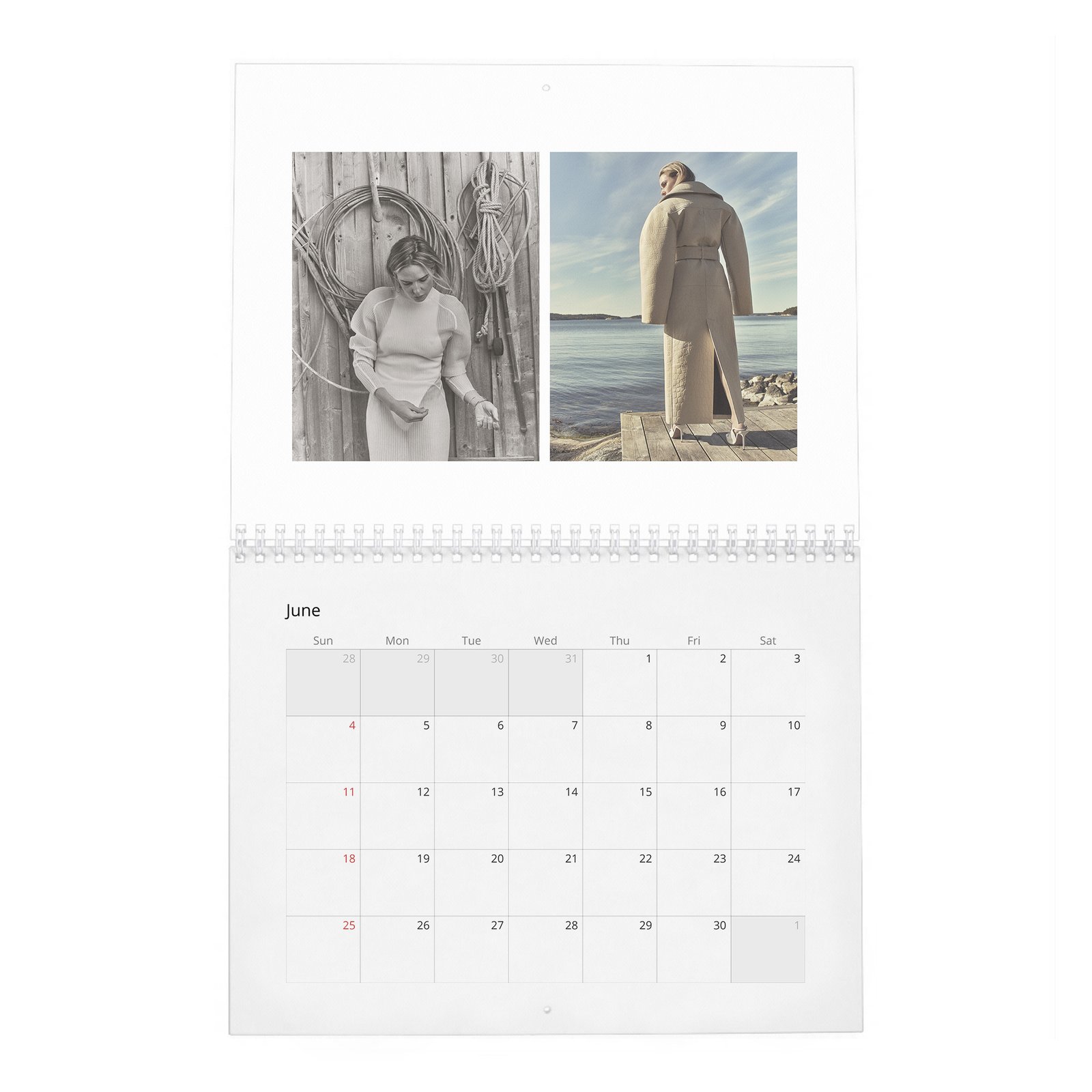 06 Rebecca Ferguson - Personal Vices and Swedish Roots 2027 Wall Calendar