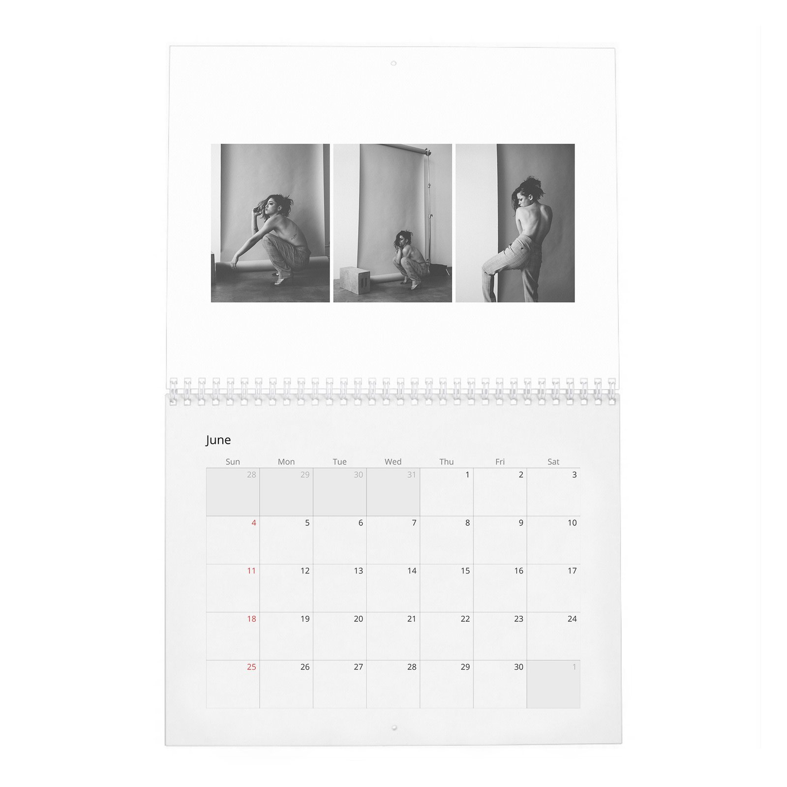 06 Rosa Salazar - A New Cherry Flavor 2027 Wall Calendar