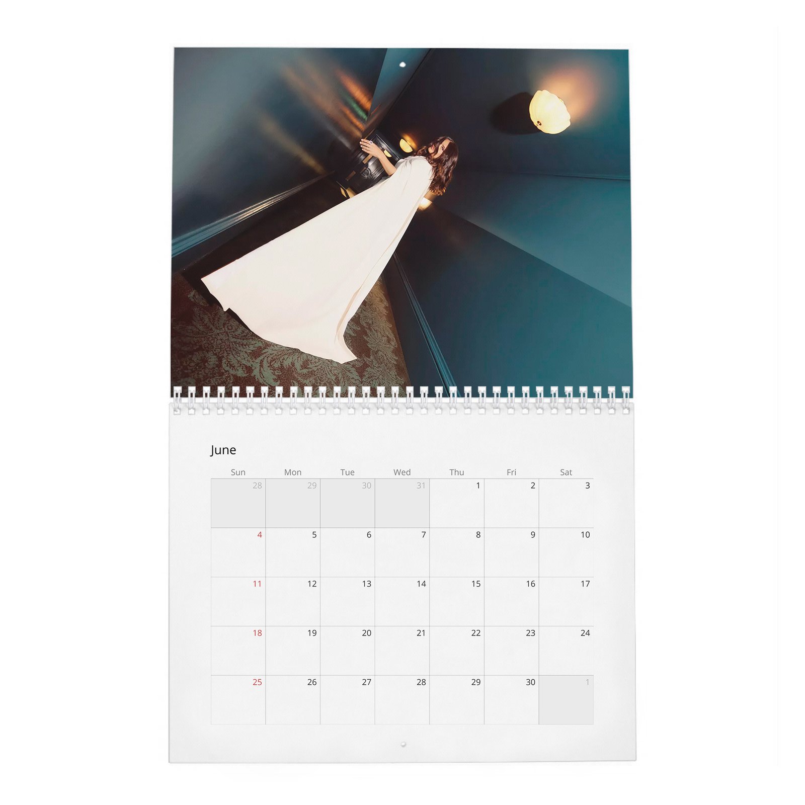 Salma Hayek - Settles In 2027 Wall Calendar