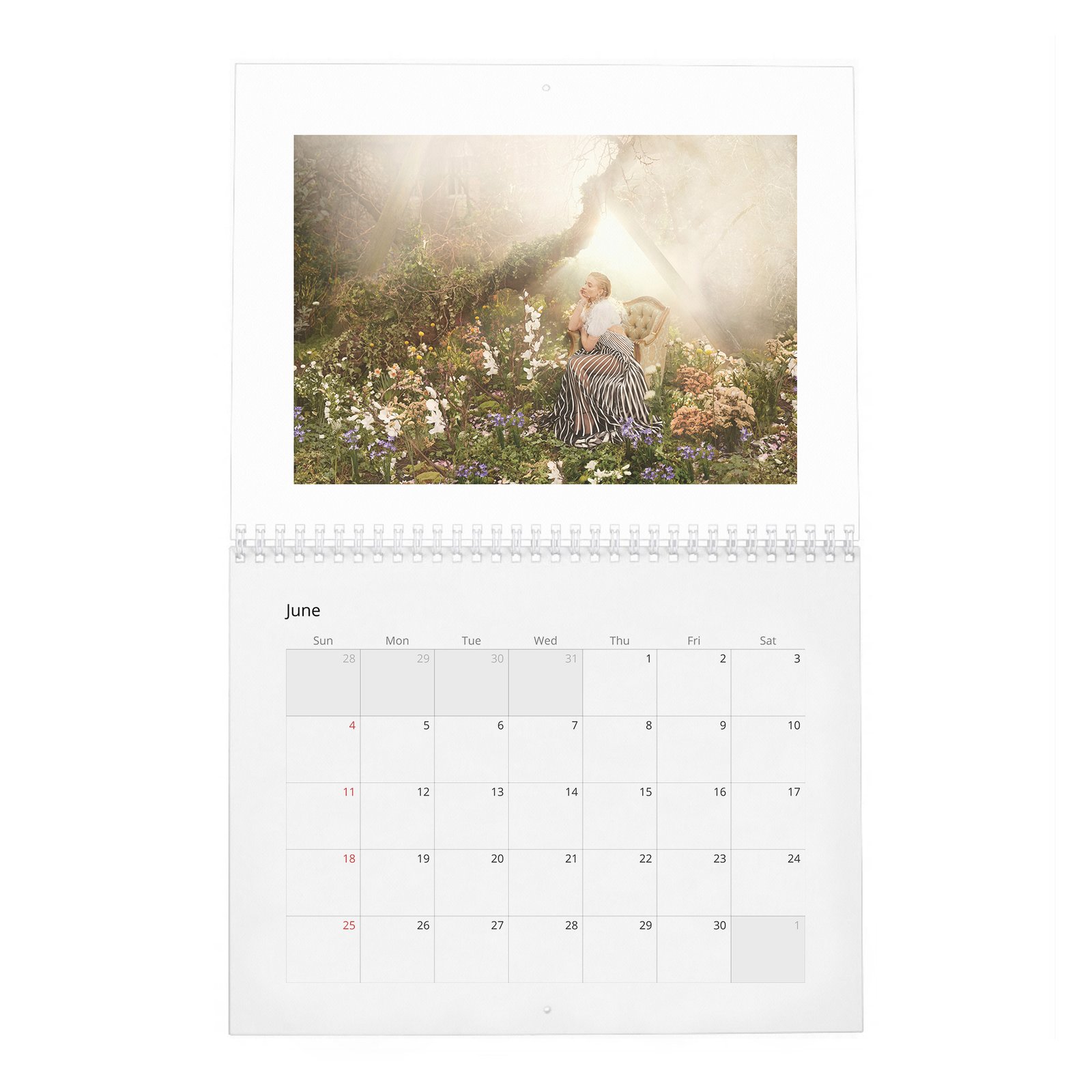 06 Sophie Turner - The Warrior Woman 2027 Wall Calendar