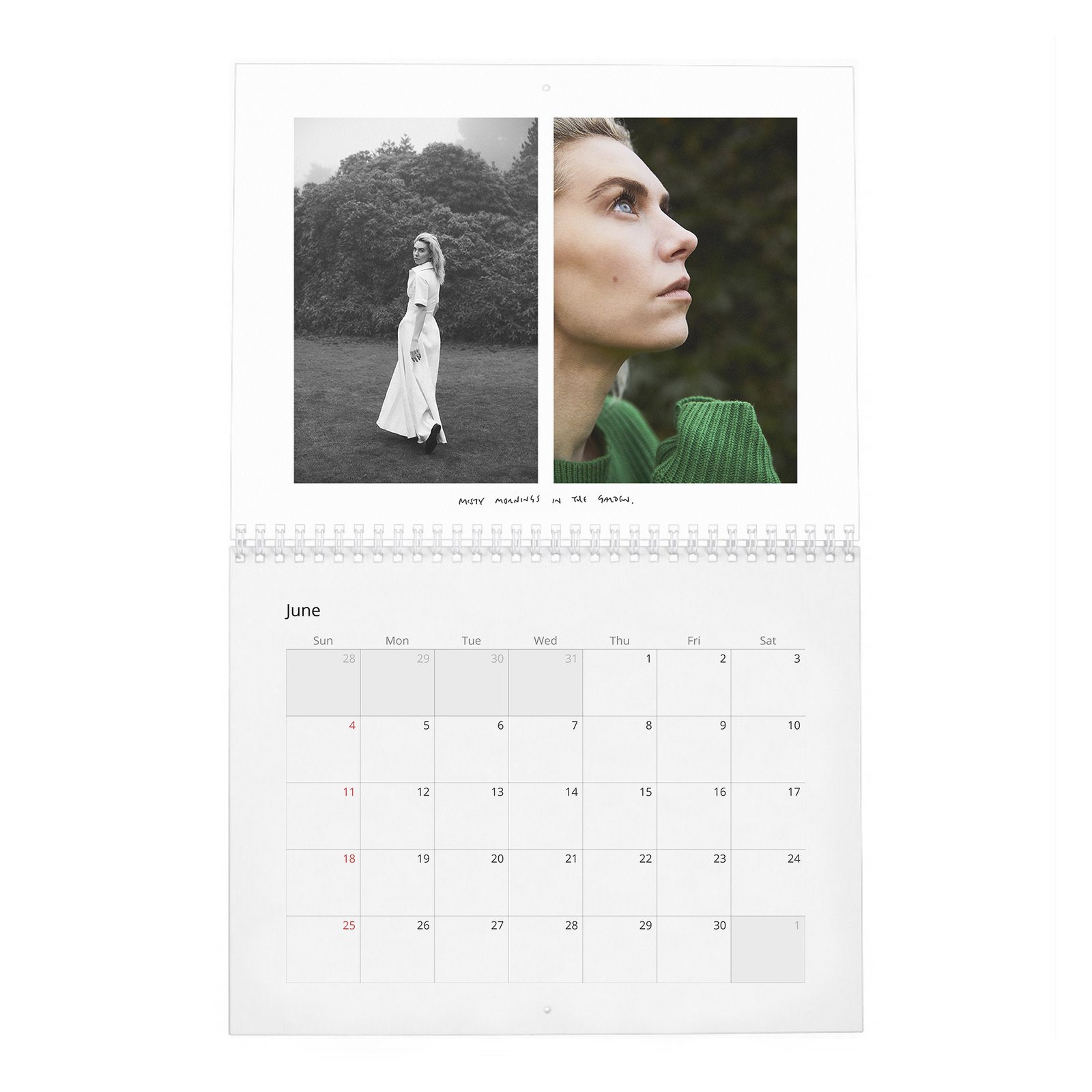 06 Vanessa Kirby - A New Light 2027 Wall Calendar
