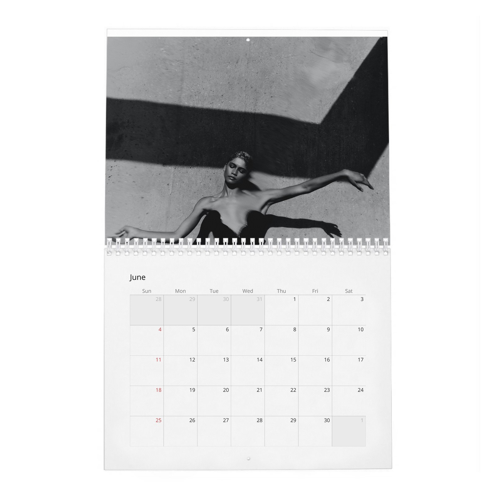 06 Zendaya - Future Human 2027 Wall Calendar