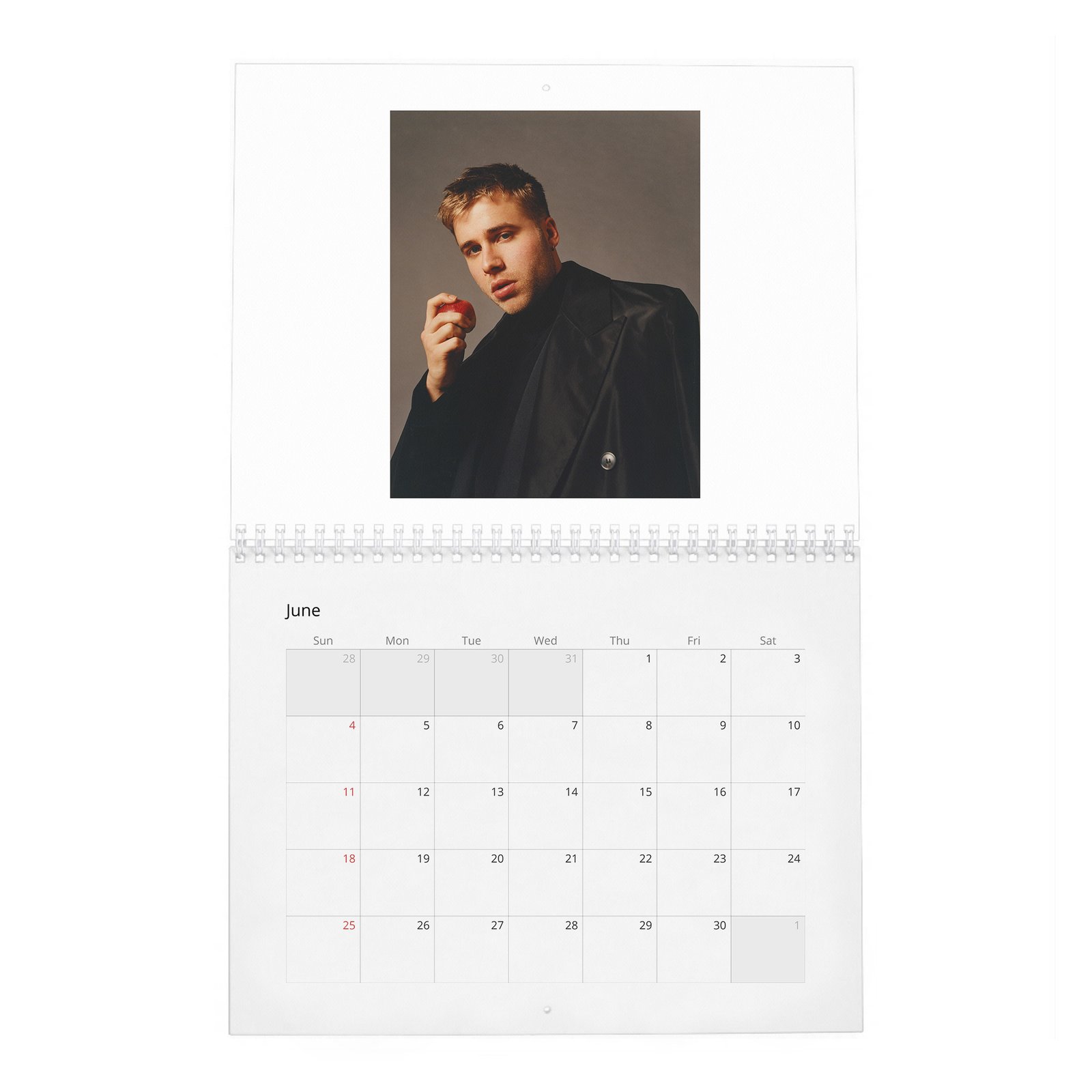 Ed Mc Vey - Content 2027 Wall Calendar