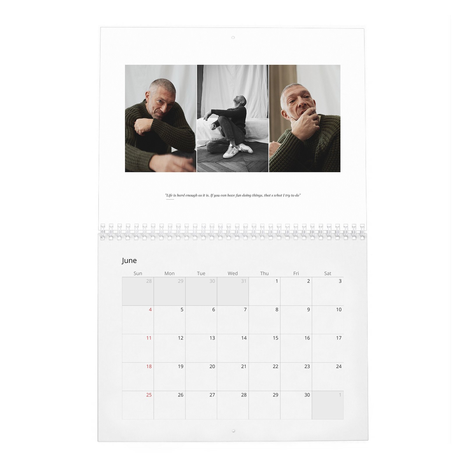 06 Vincent Cassel - Mr. Vincent Cassel 2027 Wall Calendar