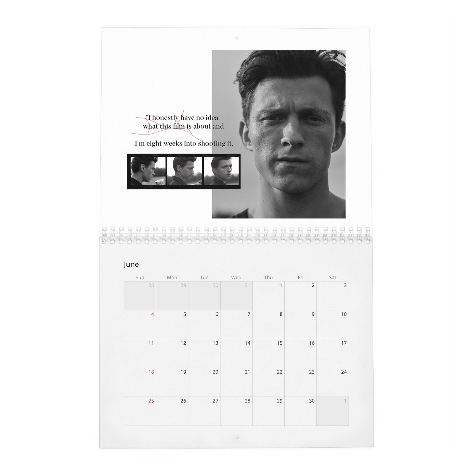 06 Tom Holland - The Charm And Grit Of 2027 Wall Calendar
