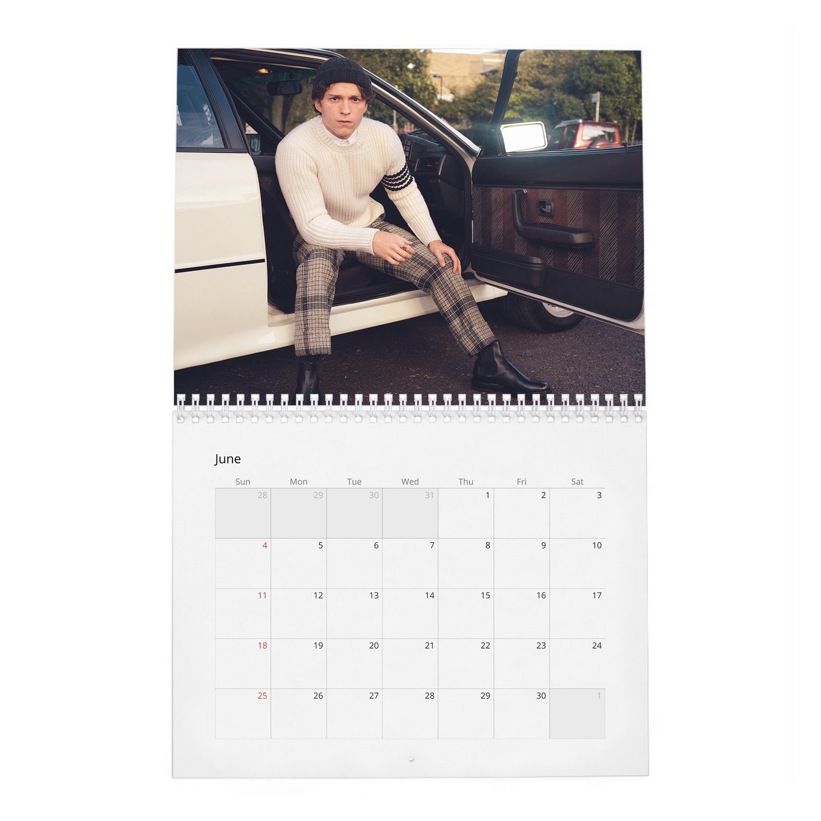 Tom Holland - The Center Of The Web 2027 Wall Calendar