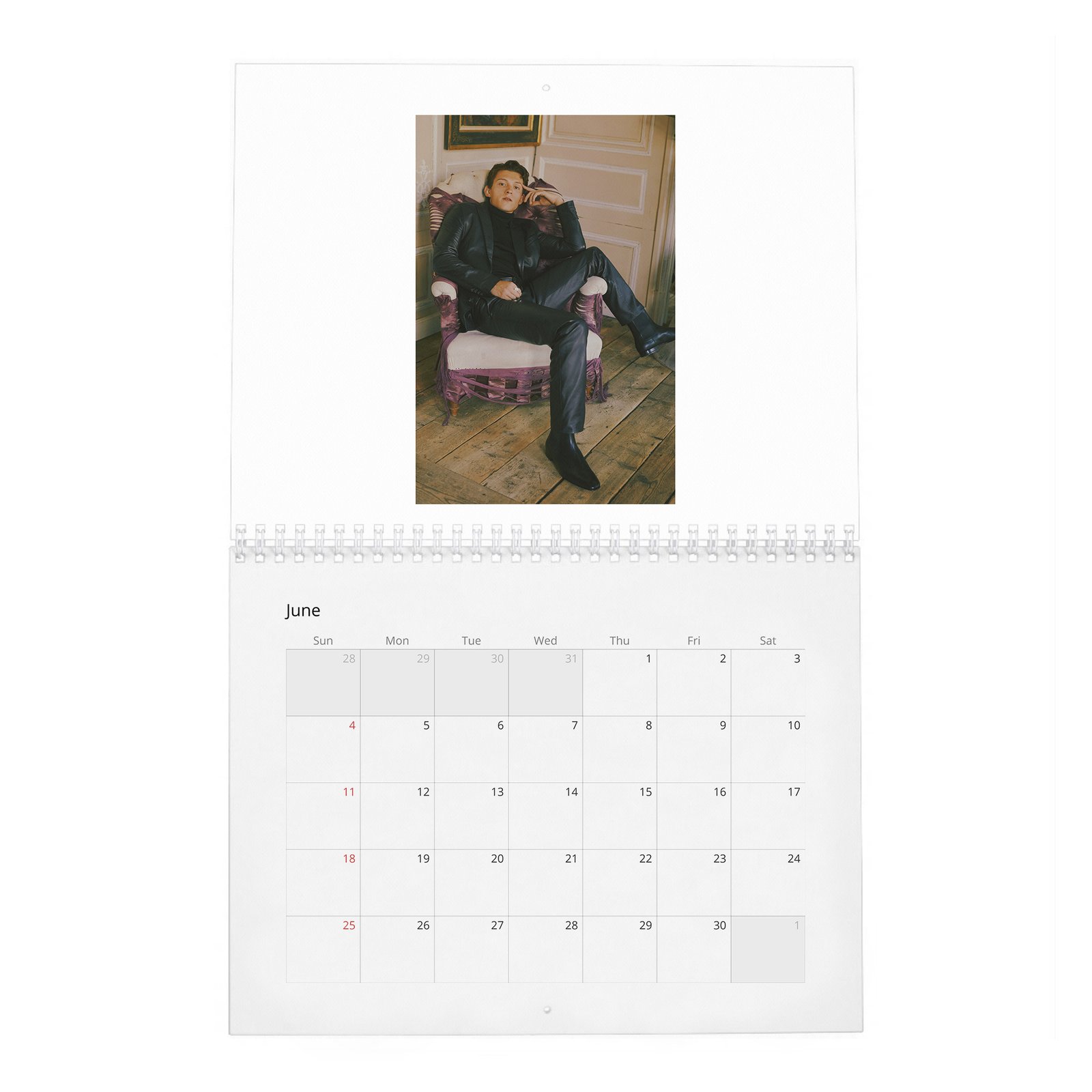Tom Holland - Braces For Impact 2027 Wall Calendar