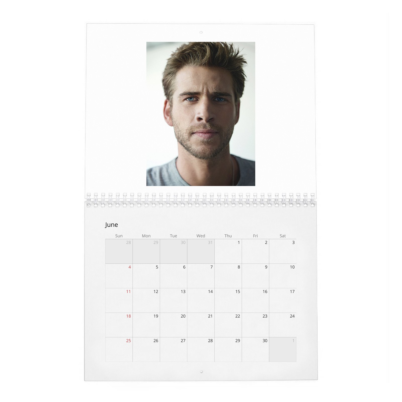06 Liam Hemsworth - A Force Of Nature 2027 Wall Calendar