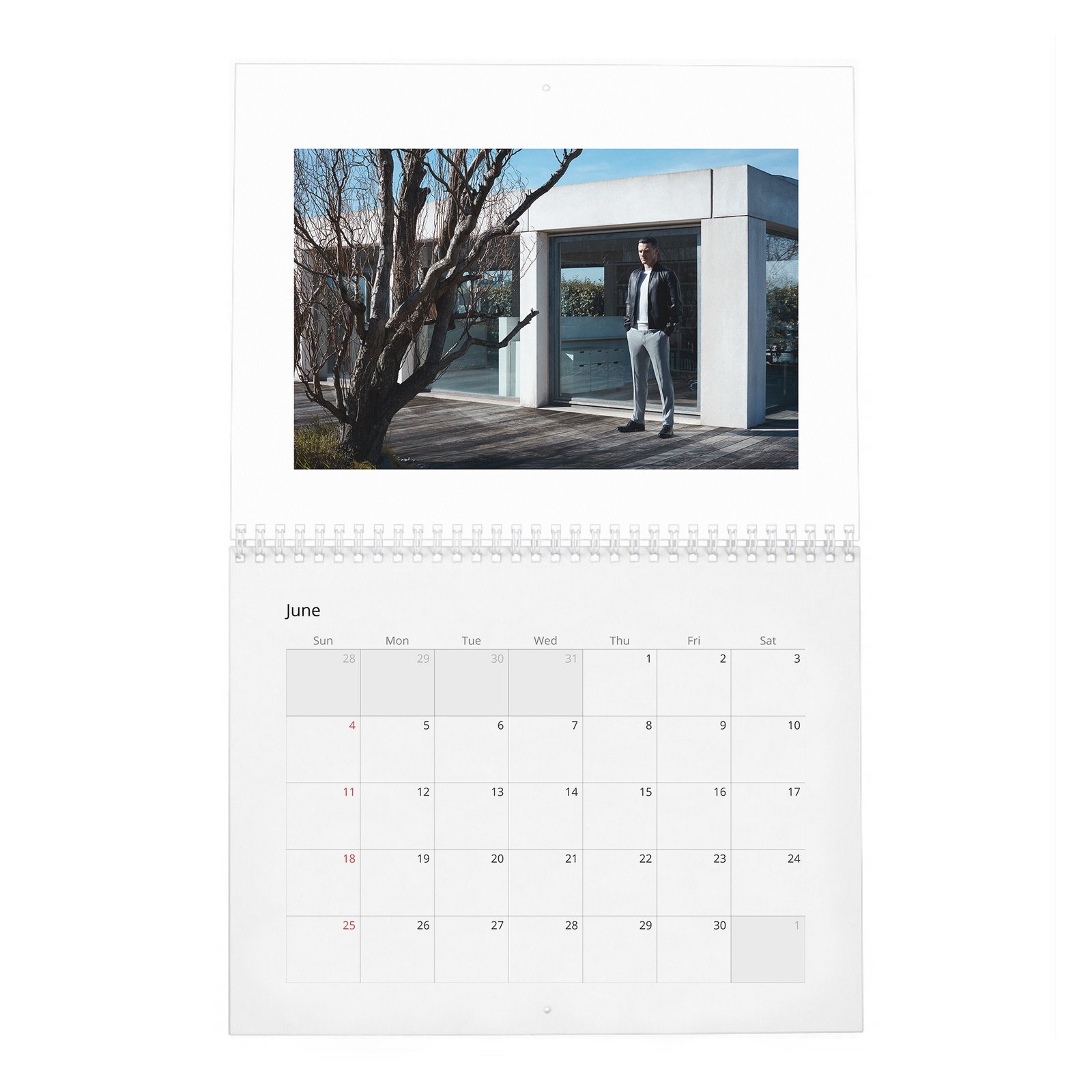06 Luke Evans - The Go-To Guy 2027 Wall Calendar