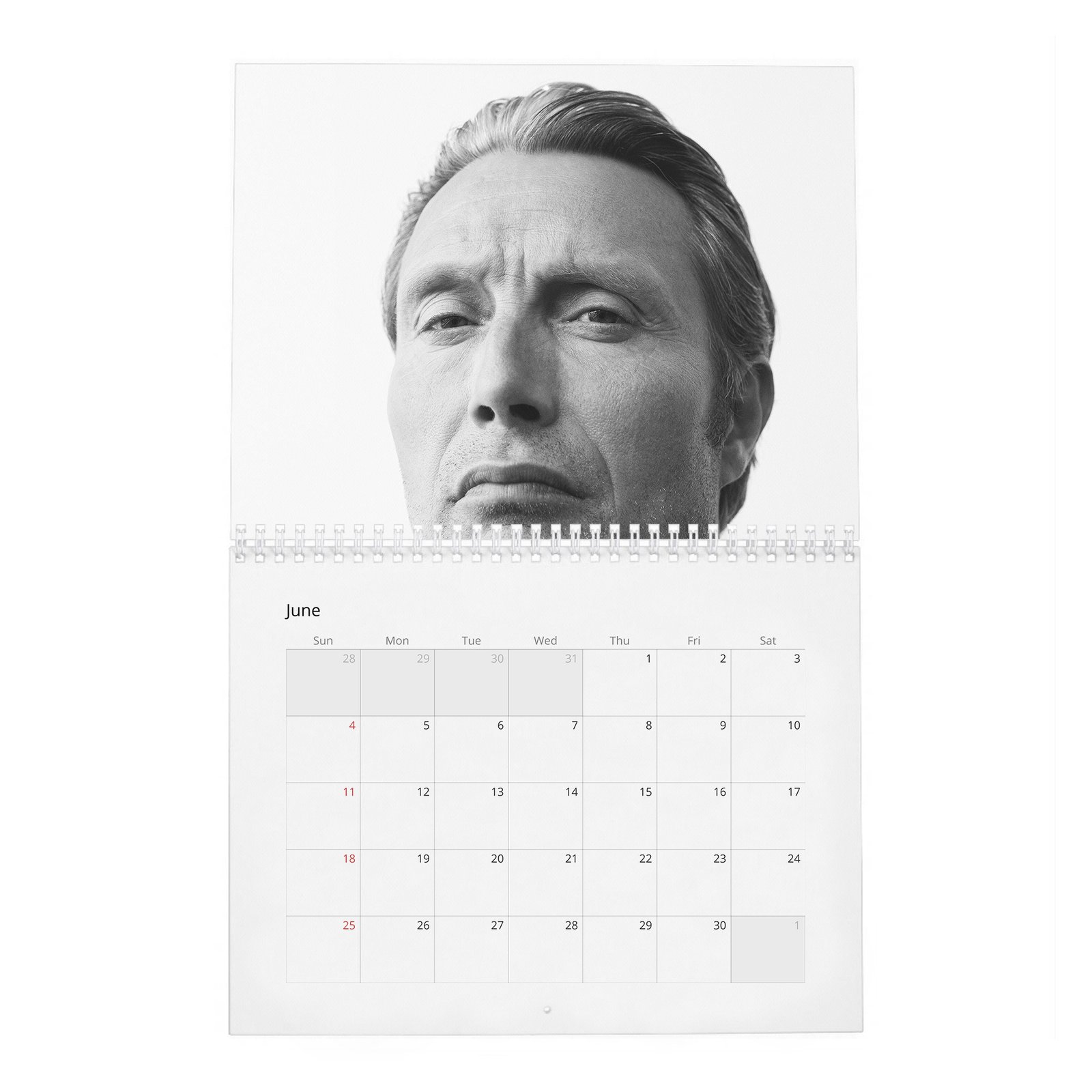 06 Mads Mikkelsen - The Polar Existence 2027 Wall Calendar
