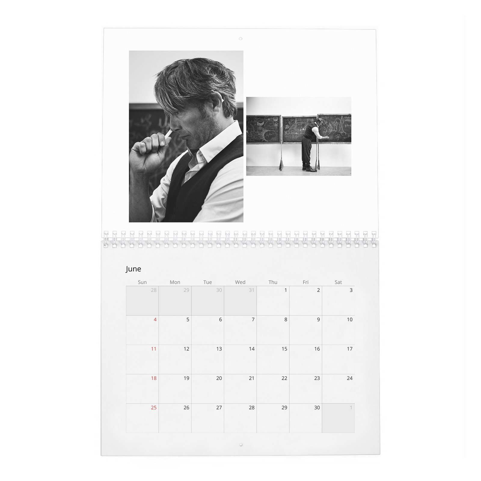 06 Mads Mikkelsen - Zoo 2027 Wall Calendar