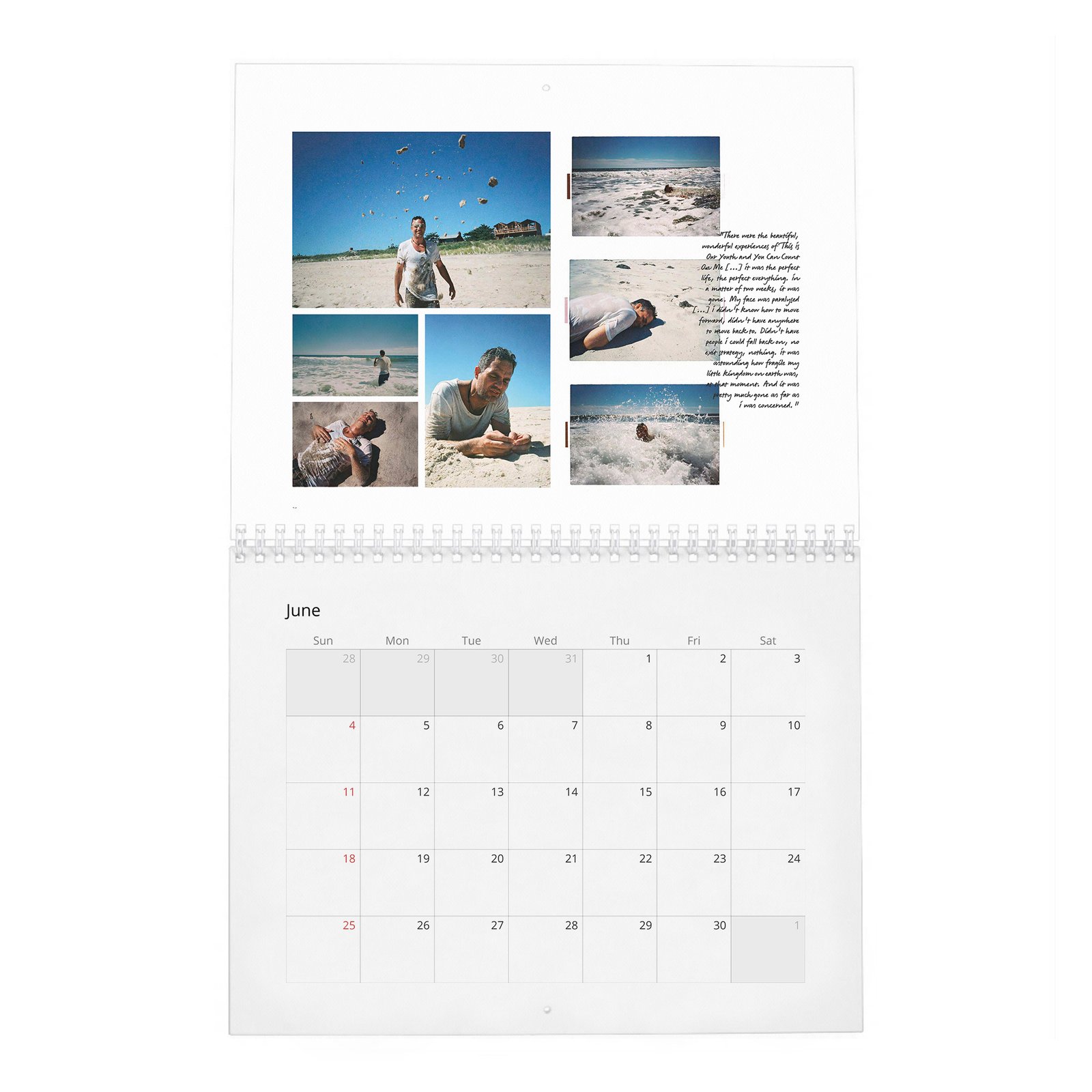 06 Mark Ruffalo - So It Goes 2027 Wall Calendar