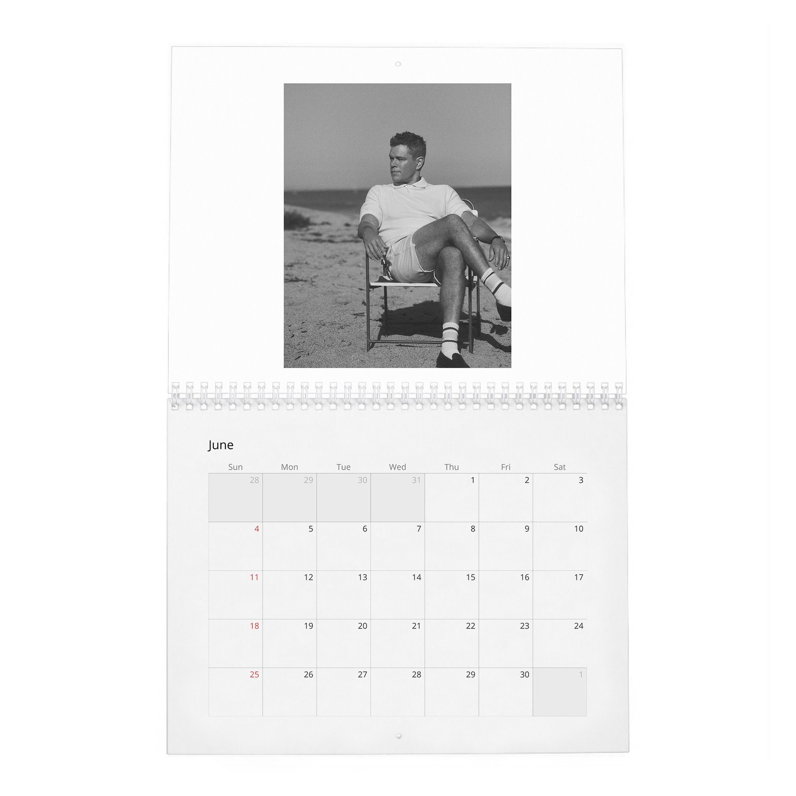 06 Matt Damon - The Evolution Of 2027 Wall Calendar