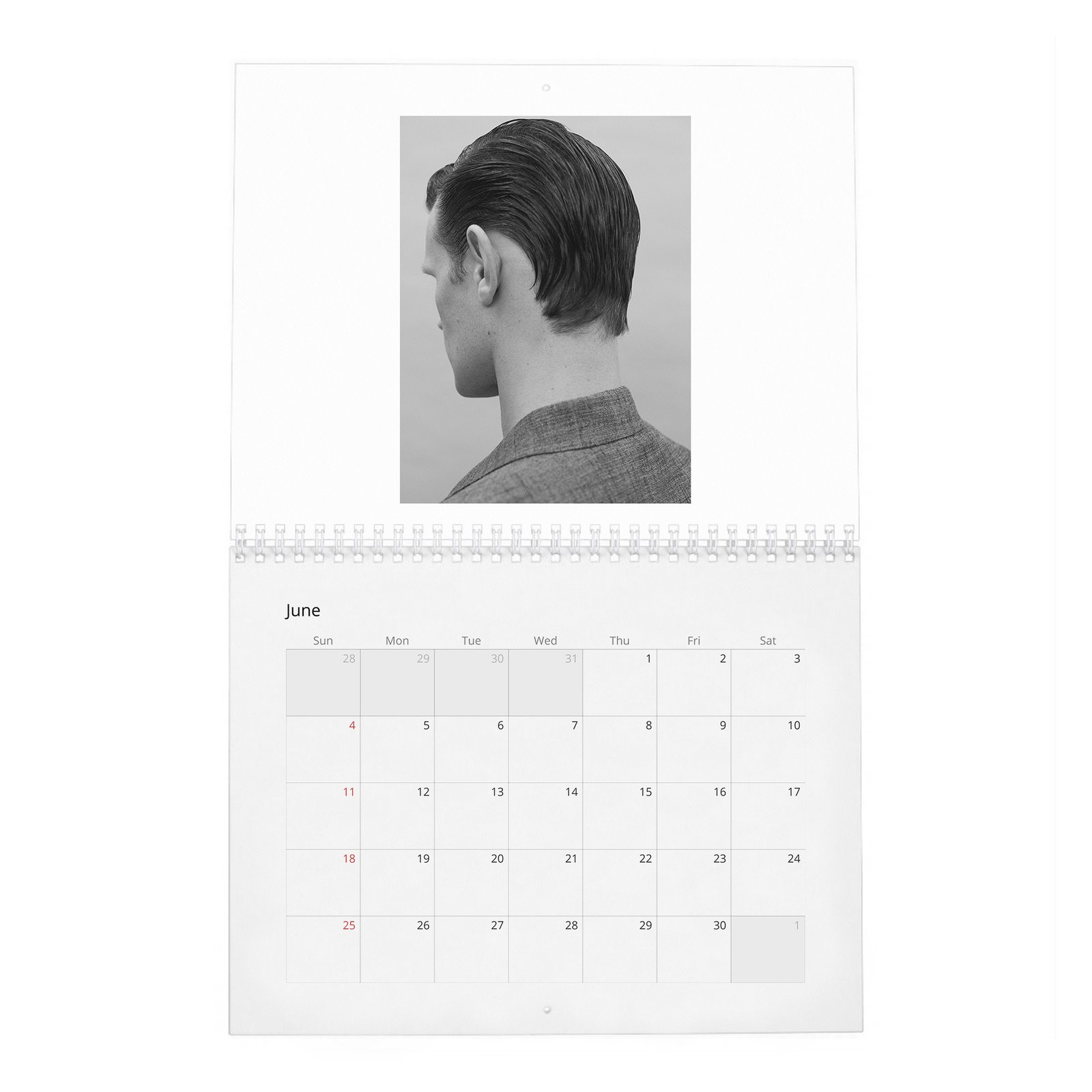 Matt Smith - Zoo 2027 Wall Calendar