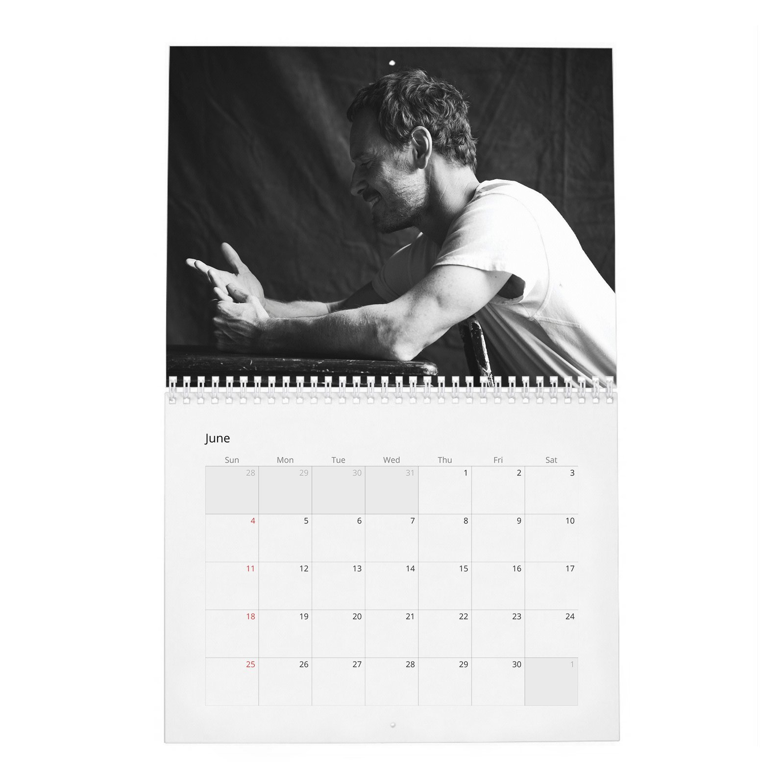 Michael Fassbender - Rules For Living 2027 Wall Calendar