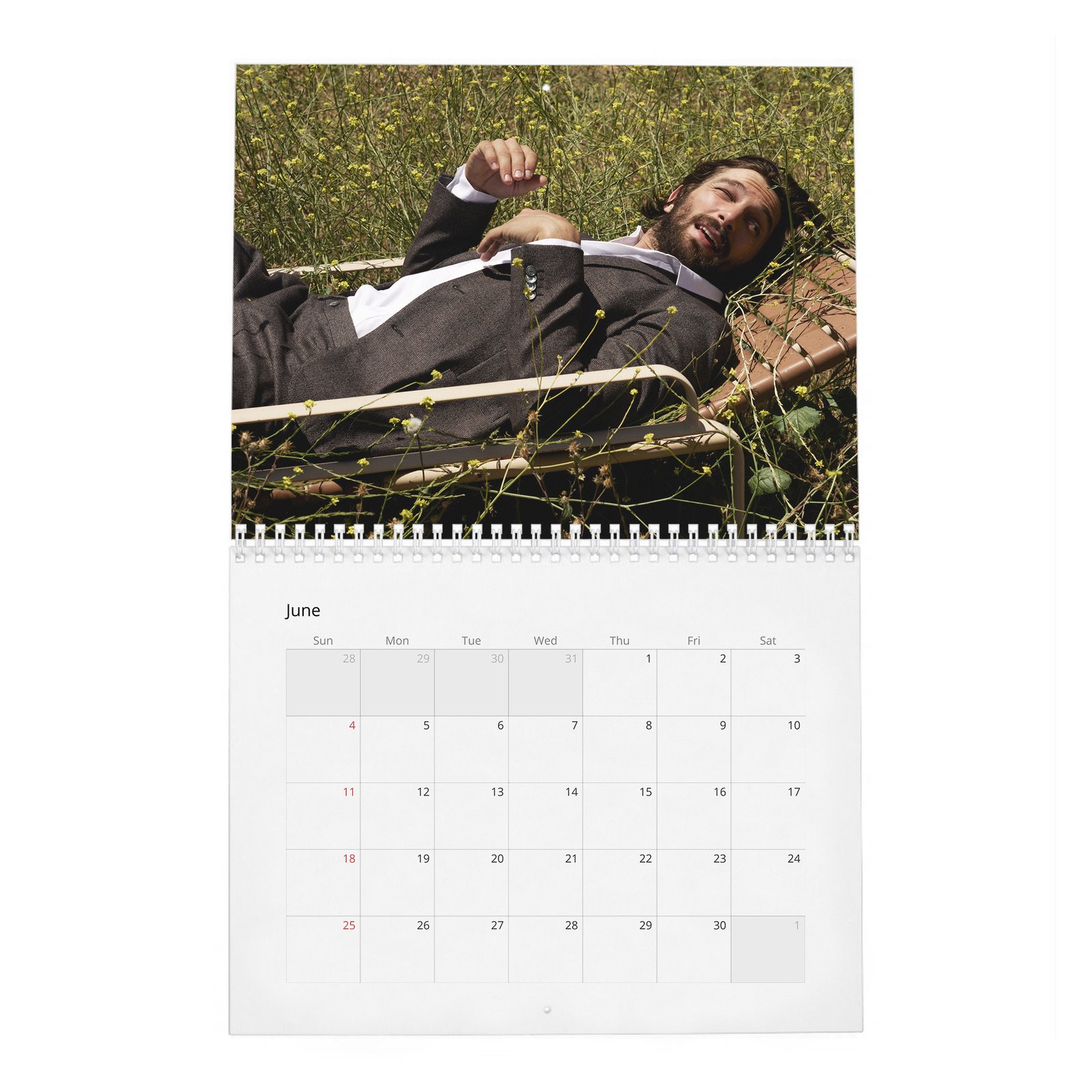 Michiel Huisman - Force At Large 2027 Wall Calendar