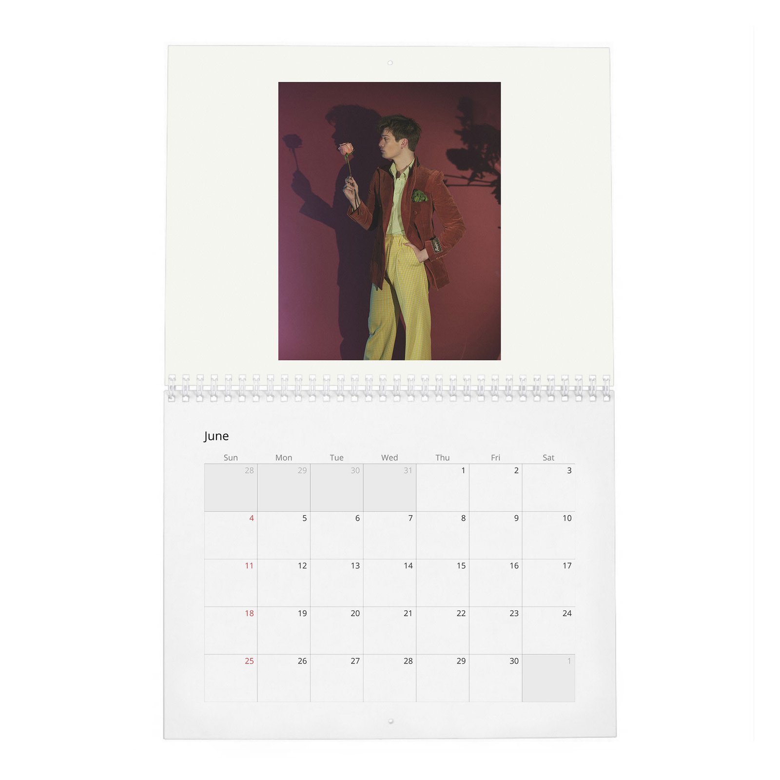 06 Nicholas Galitzine - Flaunt 2027 Wall Calendar