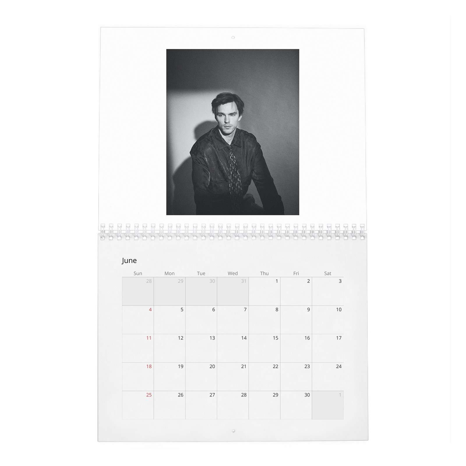 Nicholas Hoult - The Great 2027 Wall Calendar