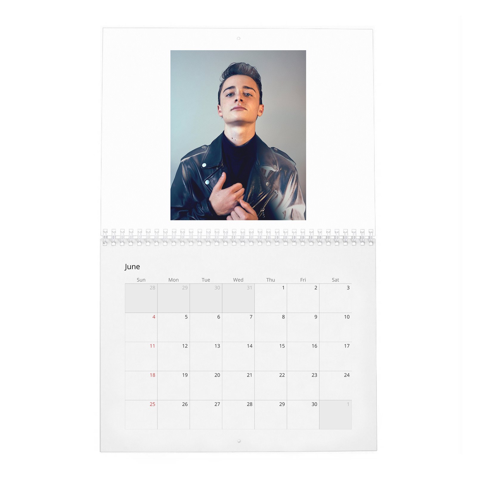06 Noah Schnapp - Fame Found Him 2027 Wall Calendar