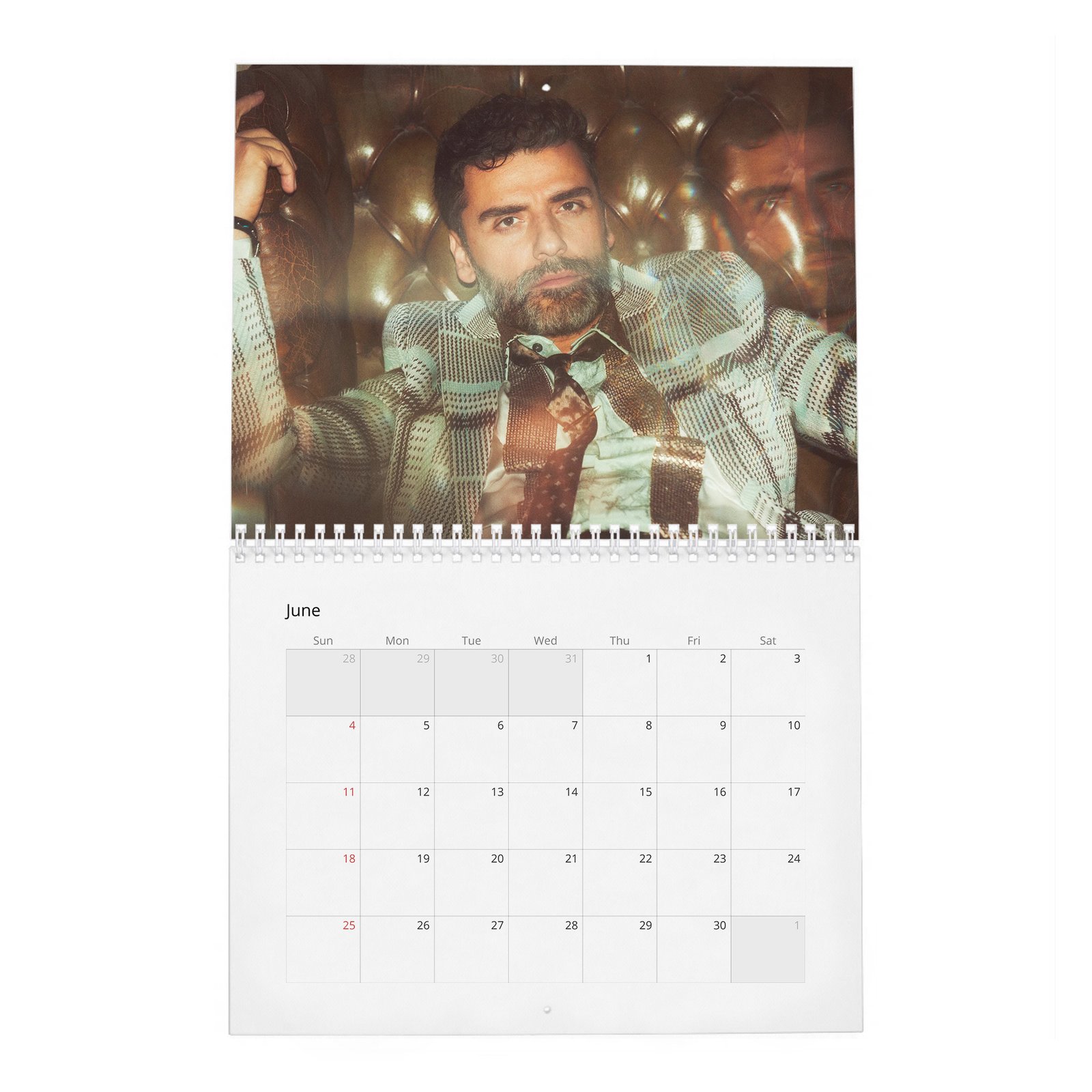06 Oscar Isaac - The Dream Of 2027 Wall Calendar