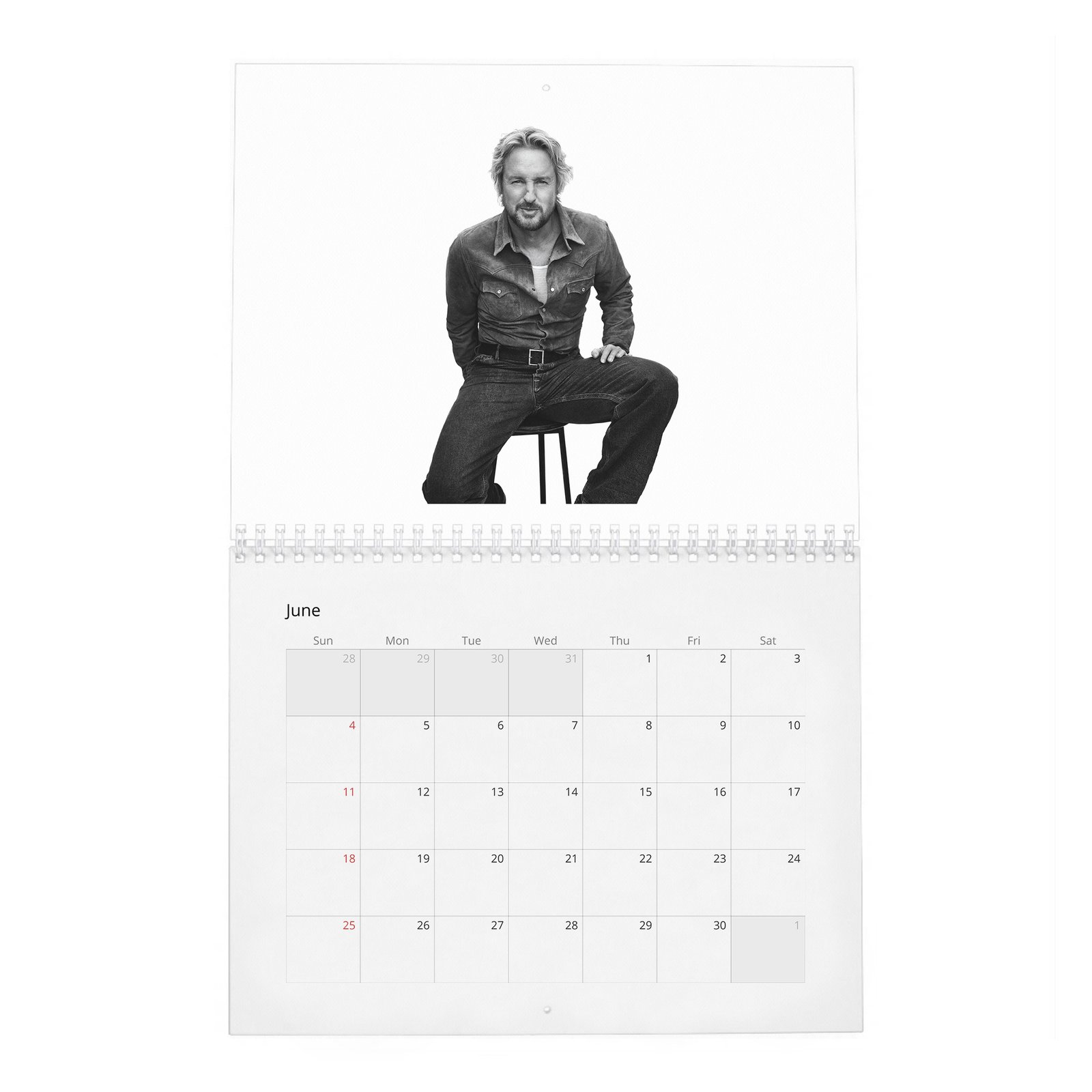 06 Owen Wilson - Doing Great 2027 Wall Calendar