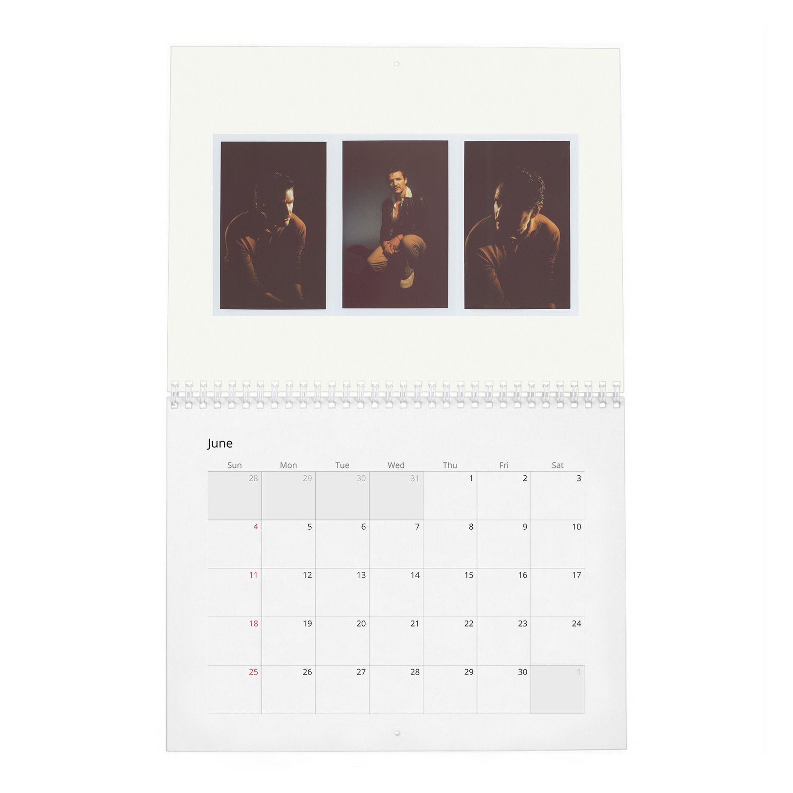 06 Pedro Pascal - Flaunt 2027 Wall Calendar