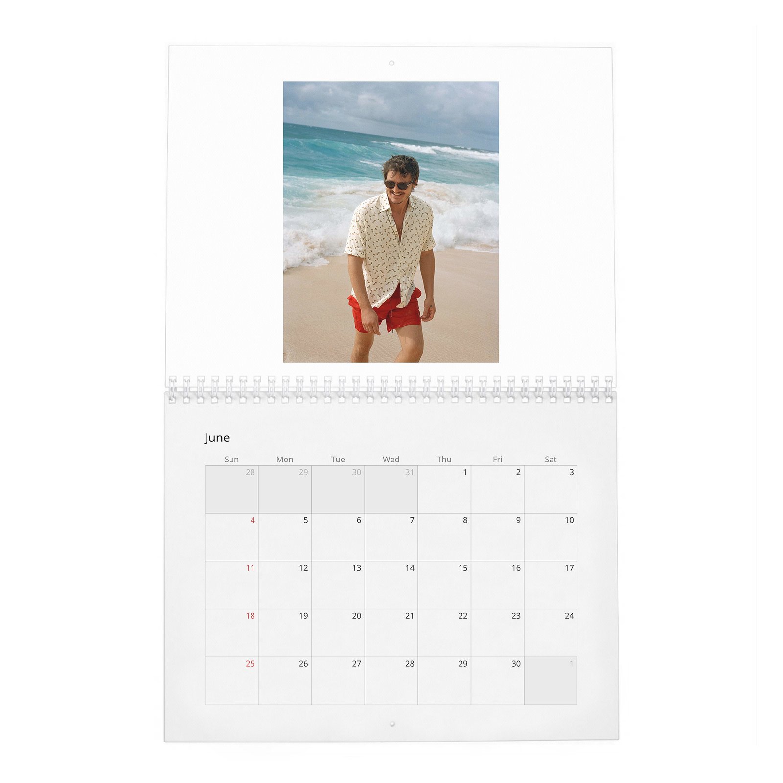 06 Pedro Pascal - In Paradise 2027 Wall Calendar