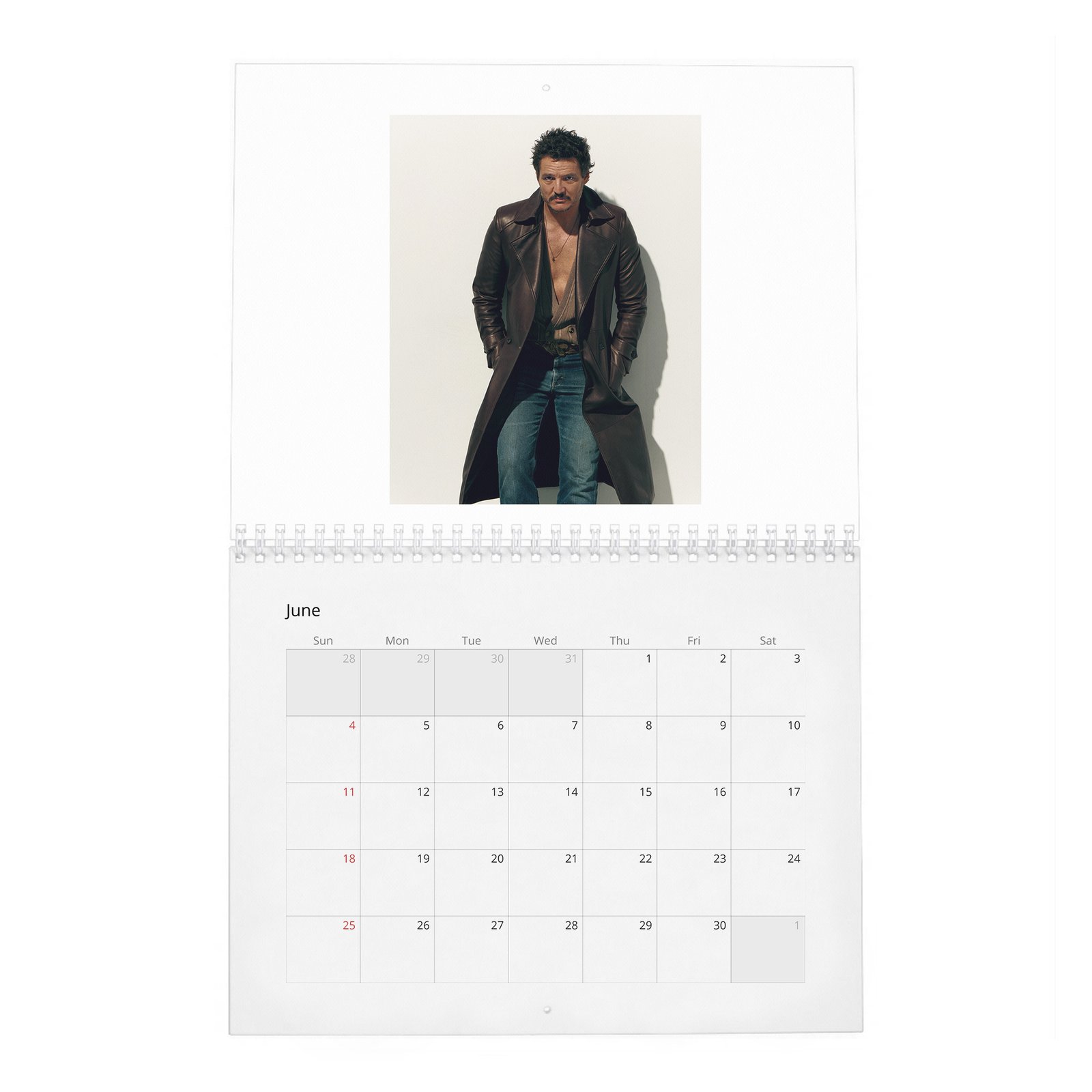06 Pedro Pascal - The Dangerously Charming 2027 Wall Calendar