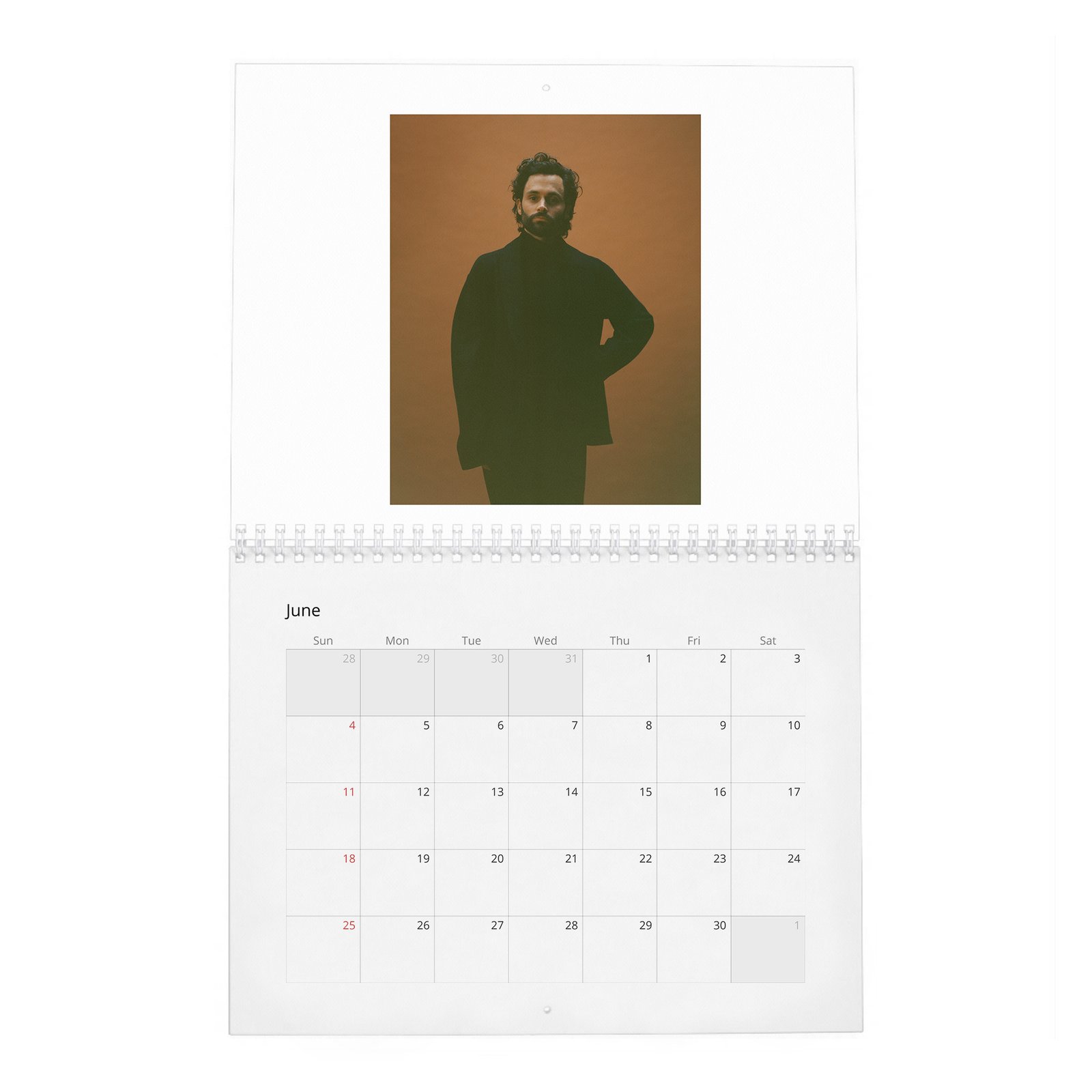 Penn Badgley - Perfect Handsome 2027 Wall Calendar