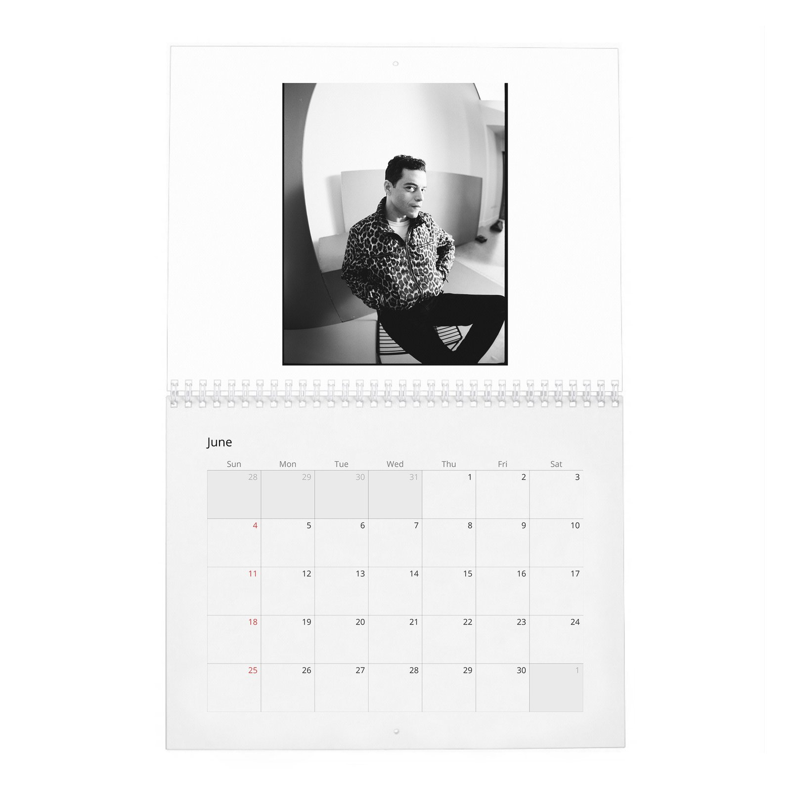 06 Rami Malek - Enters His Forever Era 2027 Wall Calendar