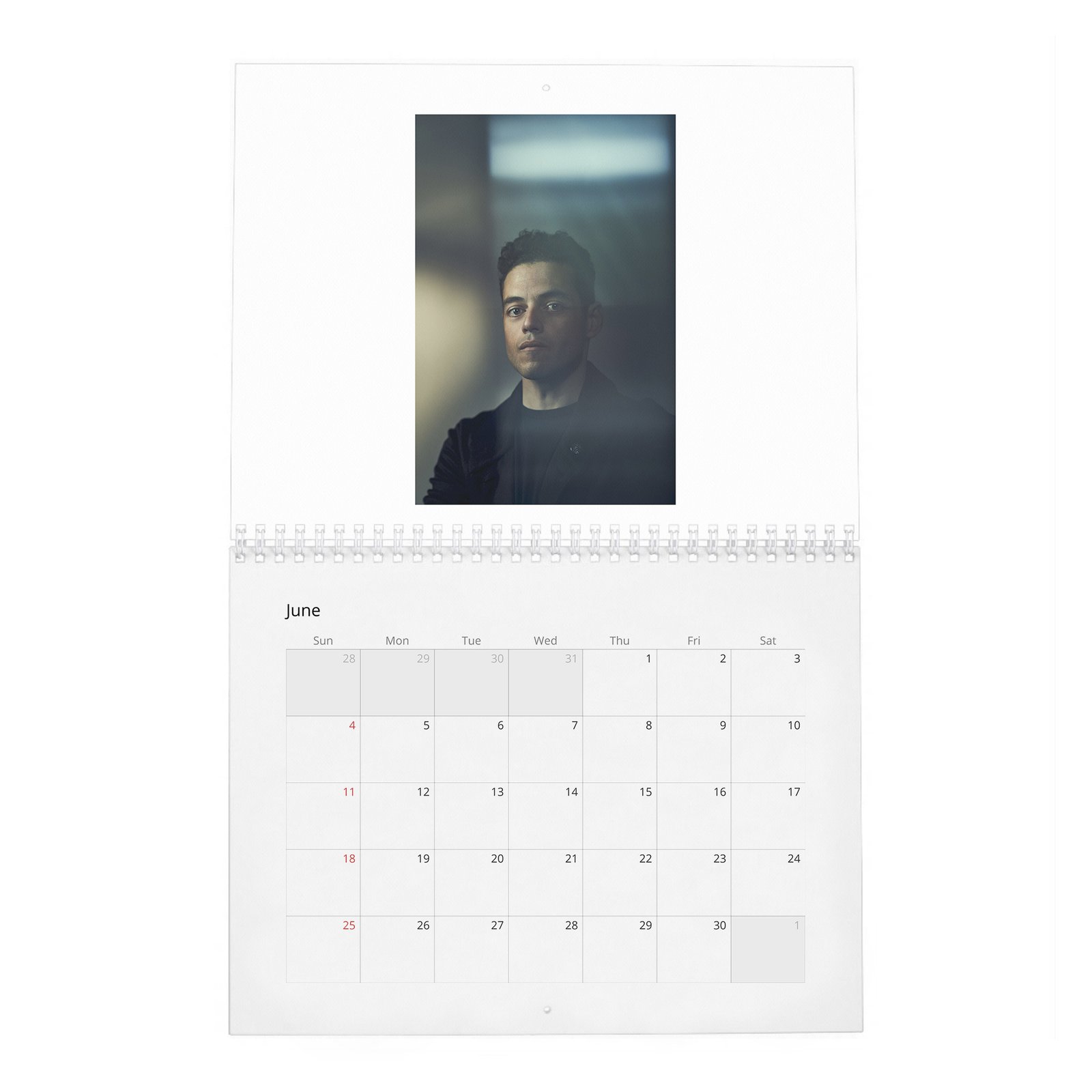 Rami Malek - No Matter What 2027 Wall Calendar