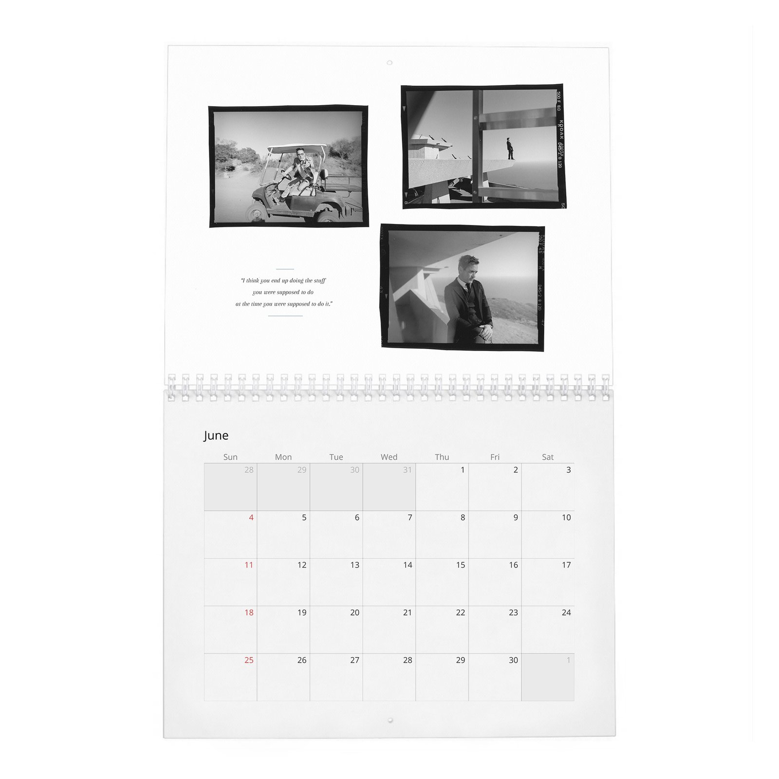 06 Robert Downey Jr. - The Complete 2027 Wall Calendar