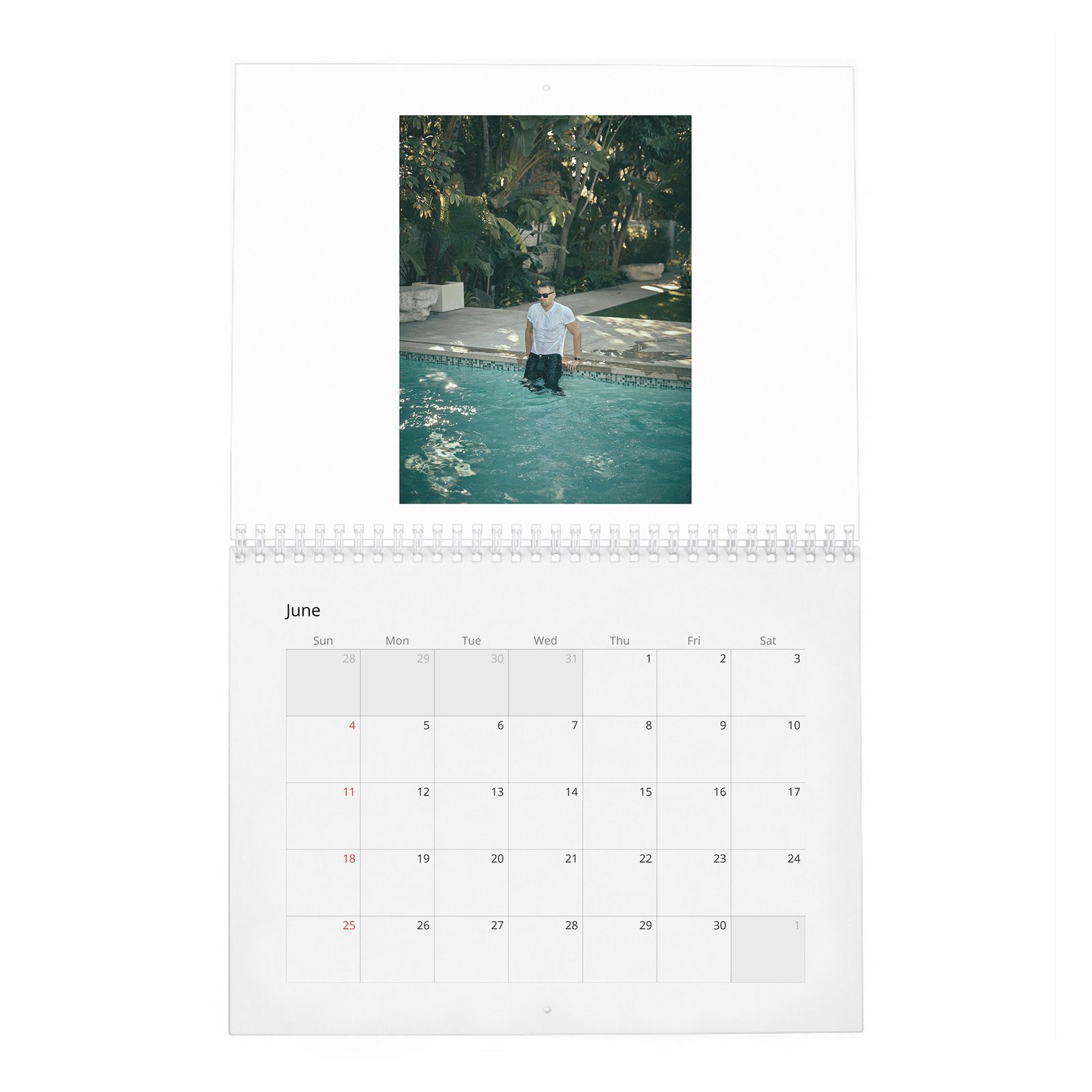 06 Sebastian Stan - Dives Deep 2027 Wall Calendar
